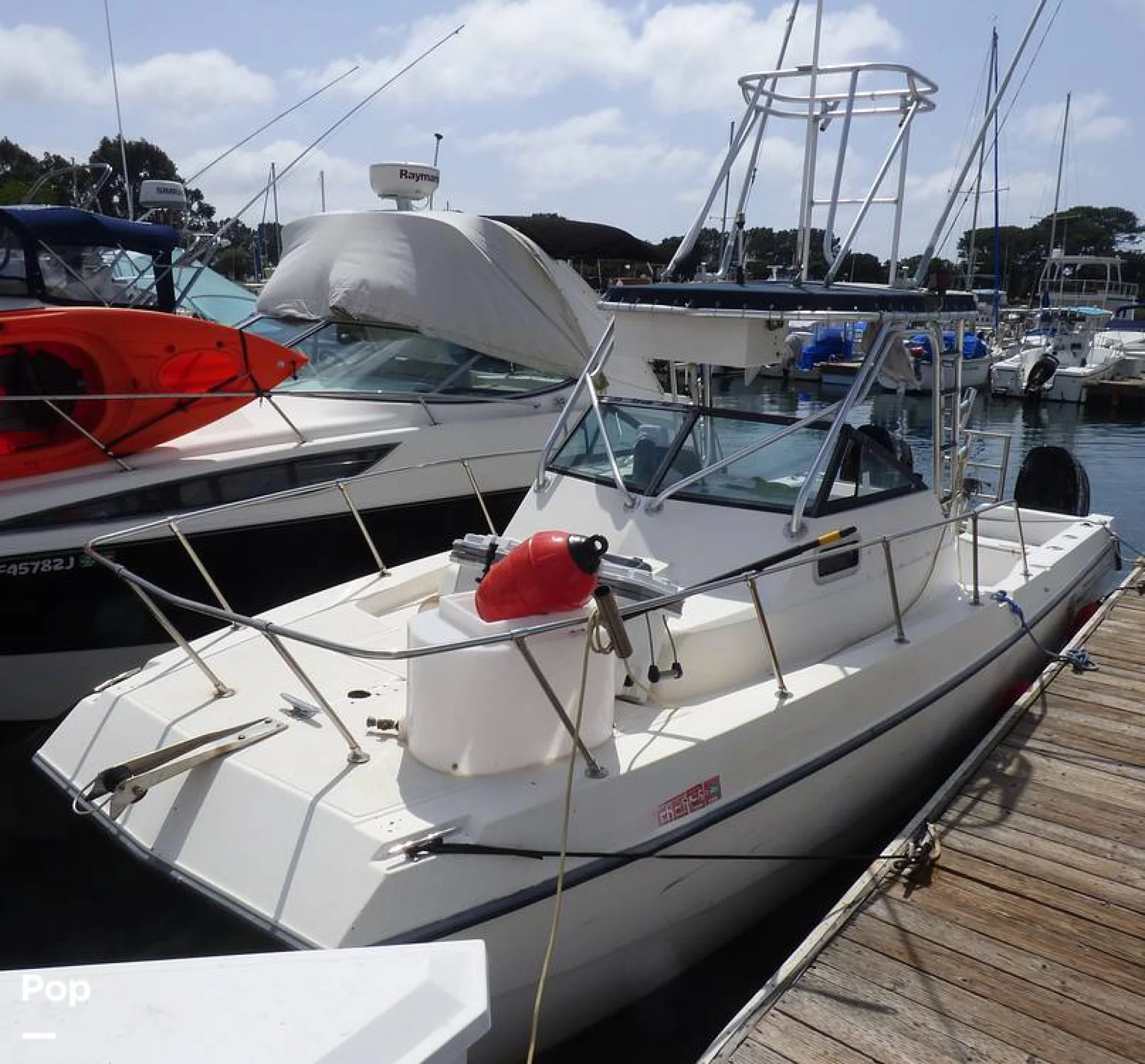 1996 Sea Cat SL5 - Main Image