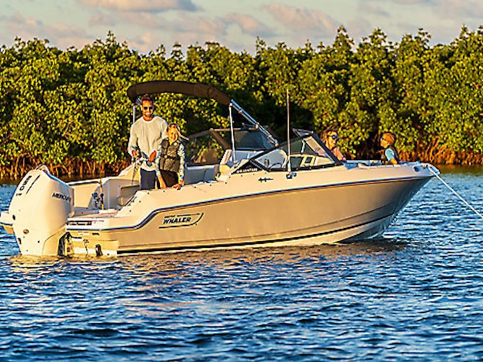 Boston Whaler 210 Vantage - Image 5