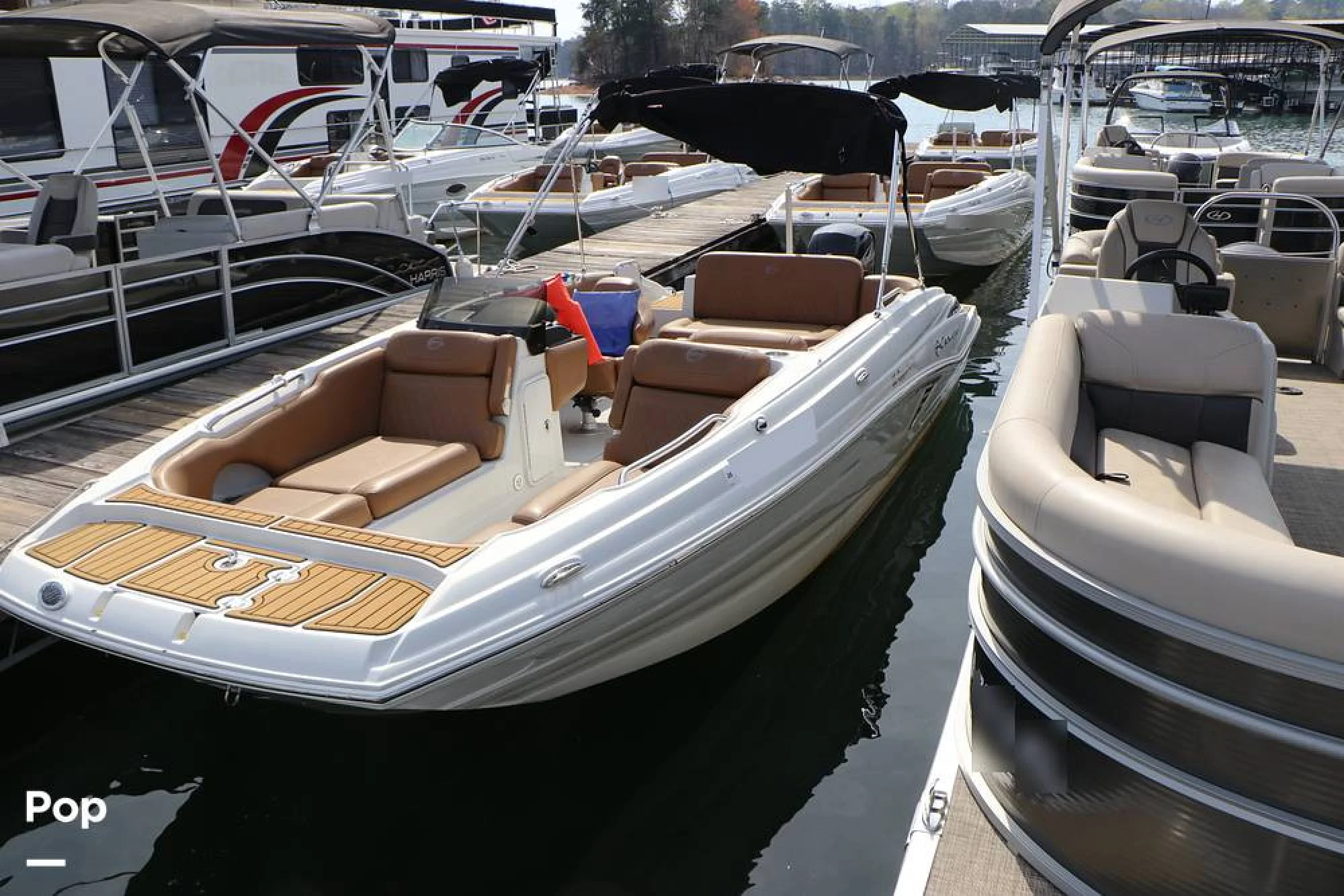 2023 Crownline E225 XS - Image 3