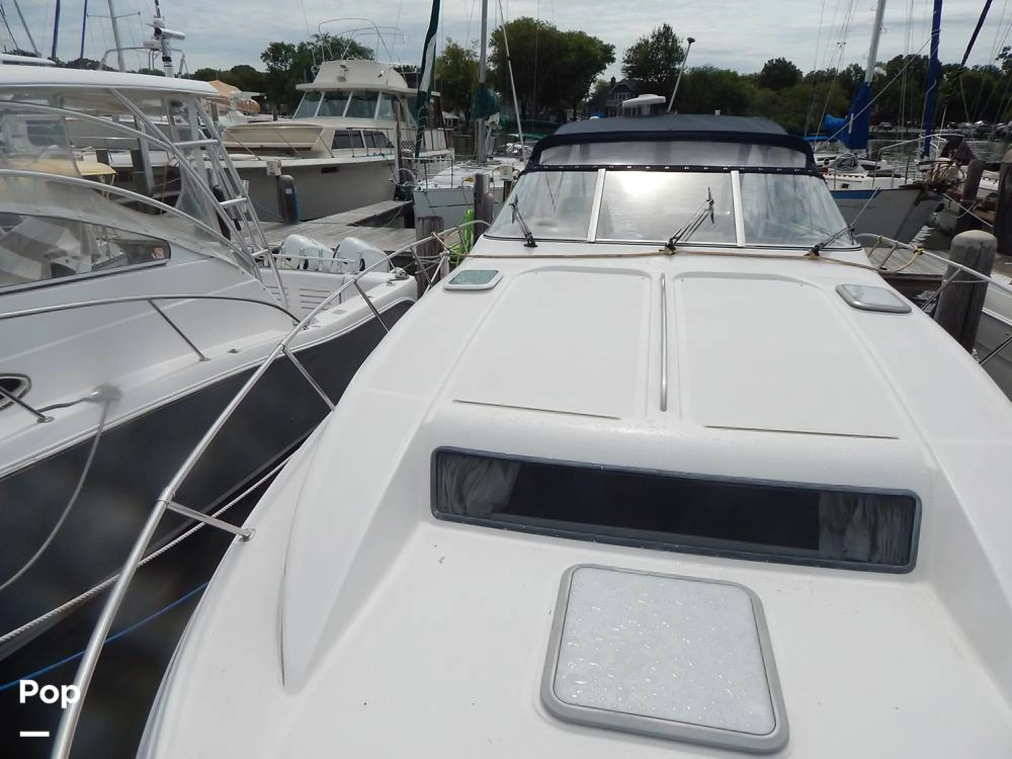 1999 Bayliner Avanti 3255 Express - Image 3