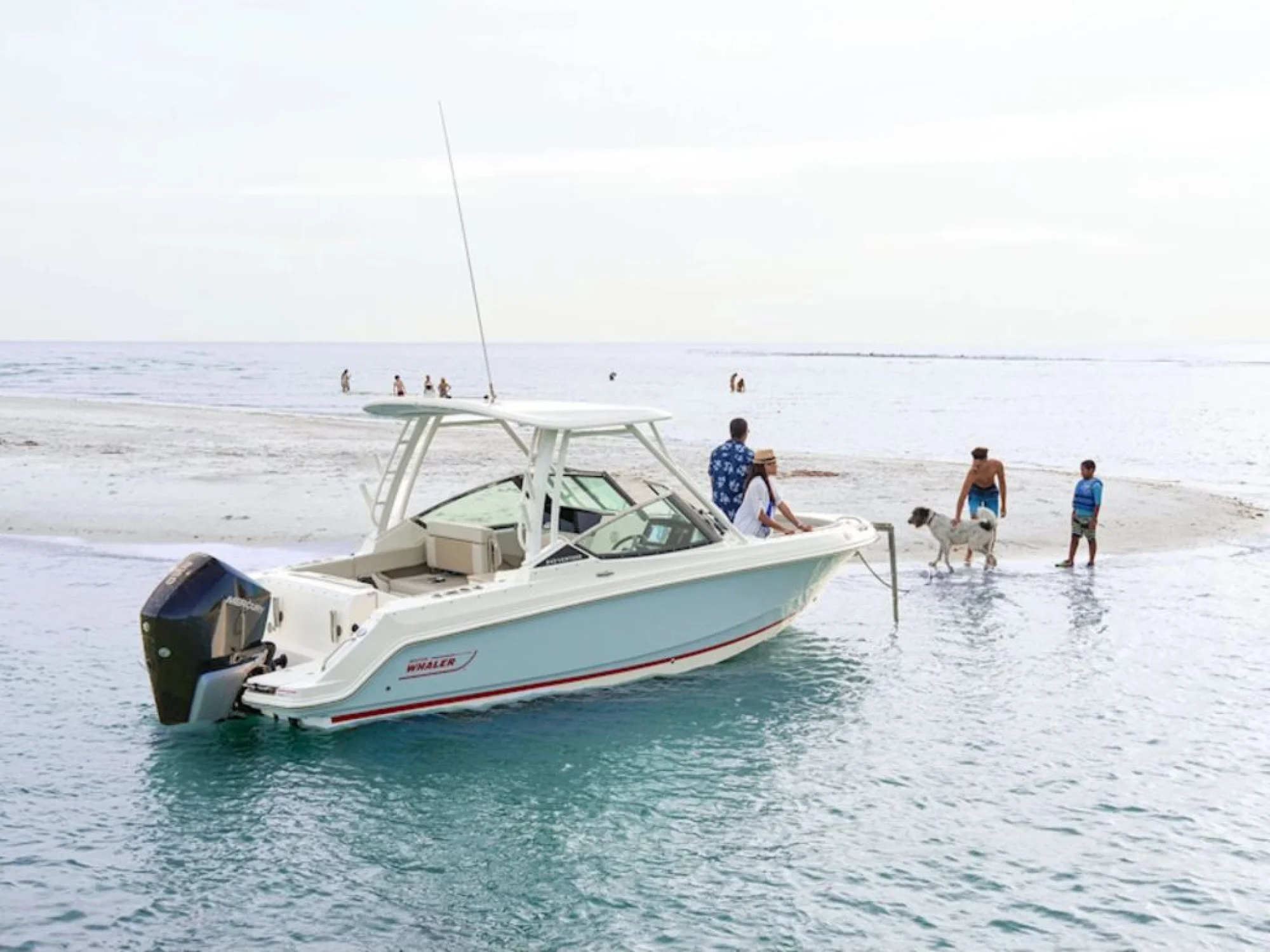 Boston Whaler 240 Vantage - Image 3