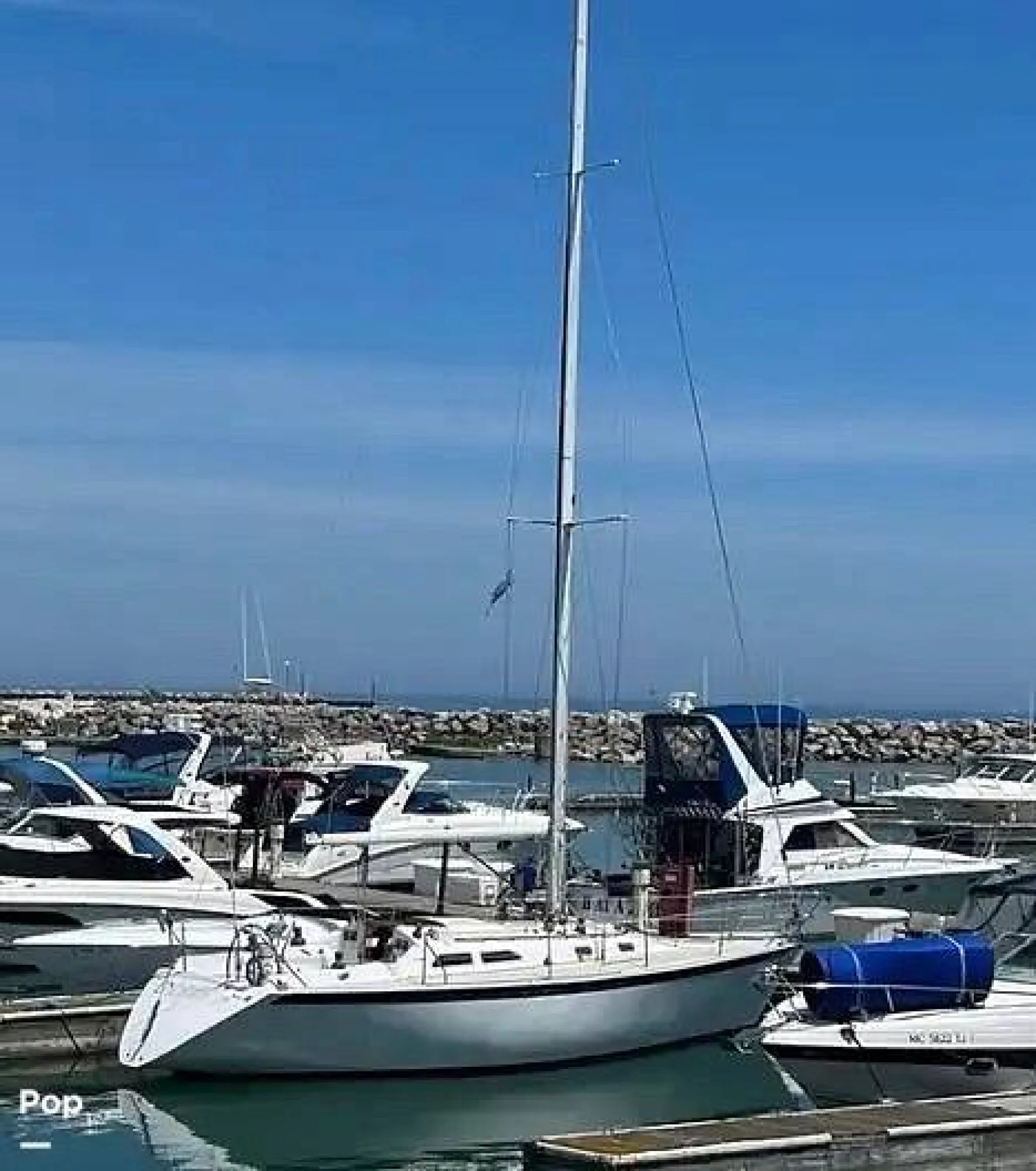 1982 Ericson Yachts 36 Ron Holland Edition - Image 3