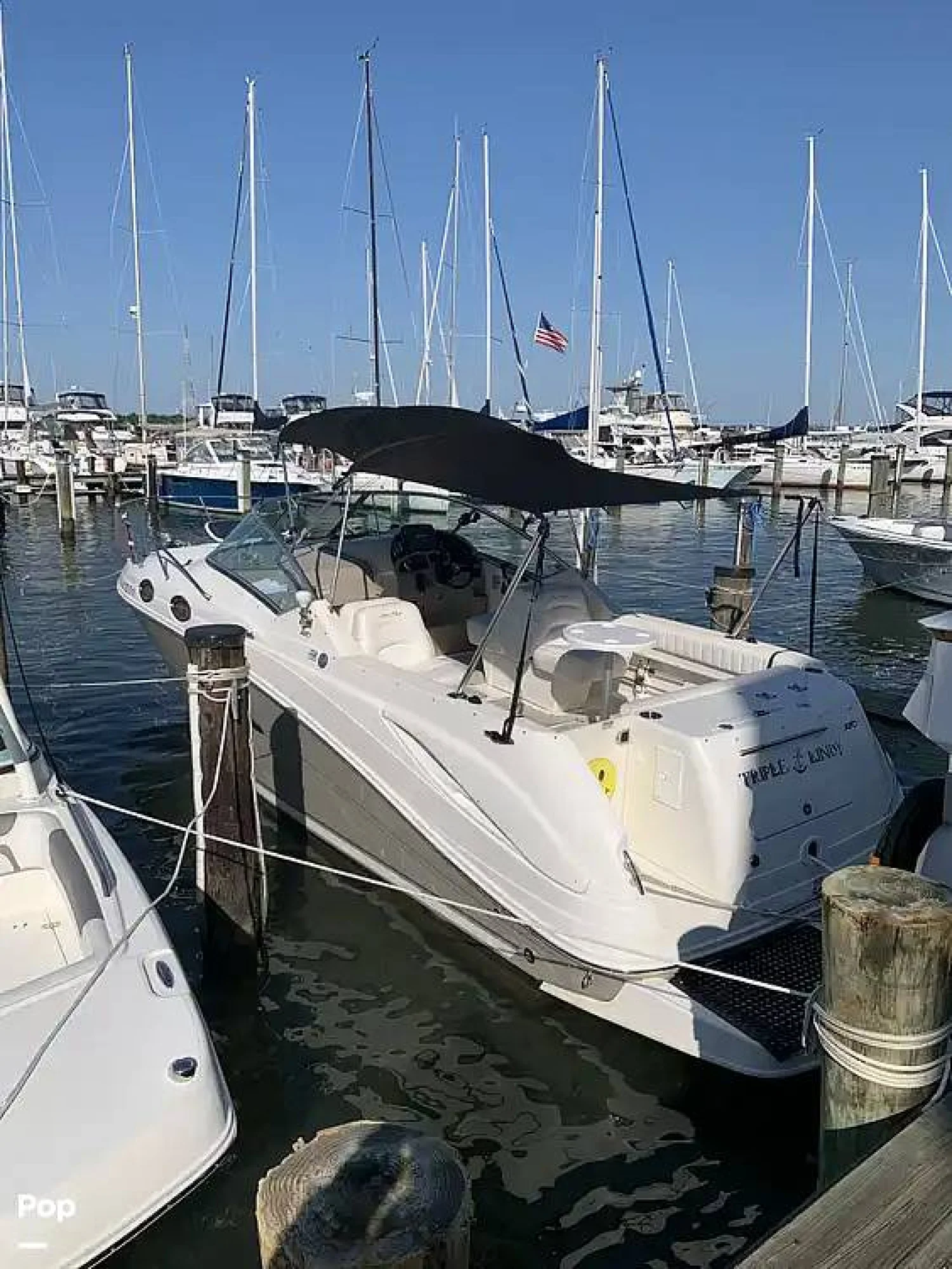 2006 Sea Ray Amberjack 270 - Main Image