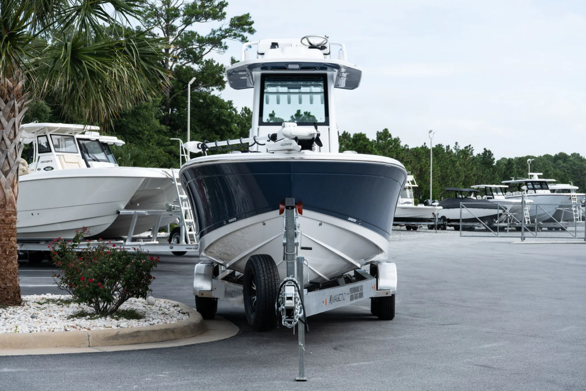 Blackfin 262HB - Image 5