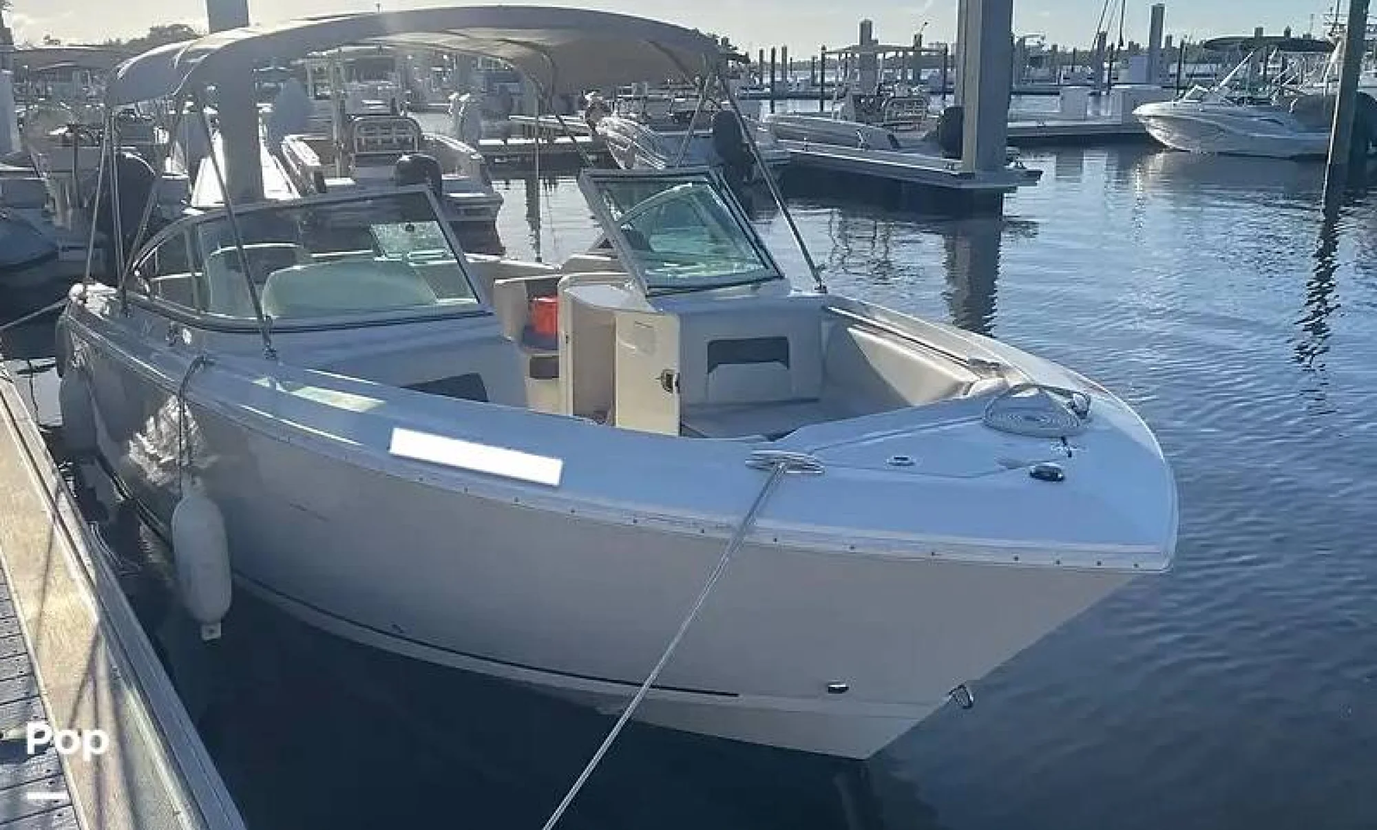2024 Sailfish 226 DC - Image 3