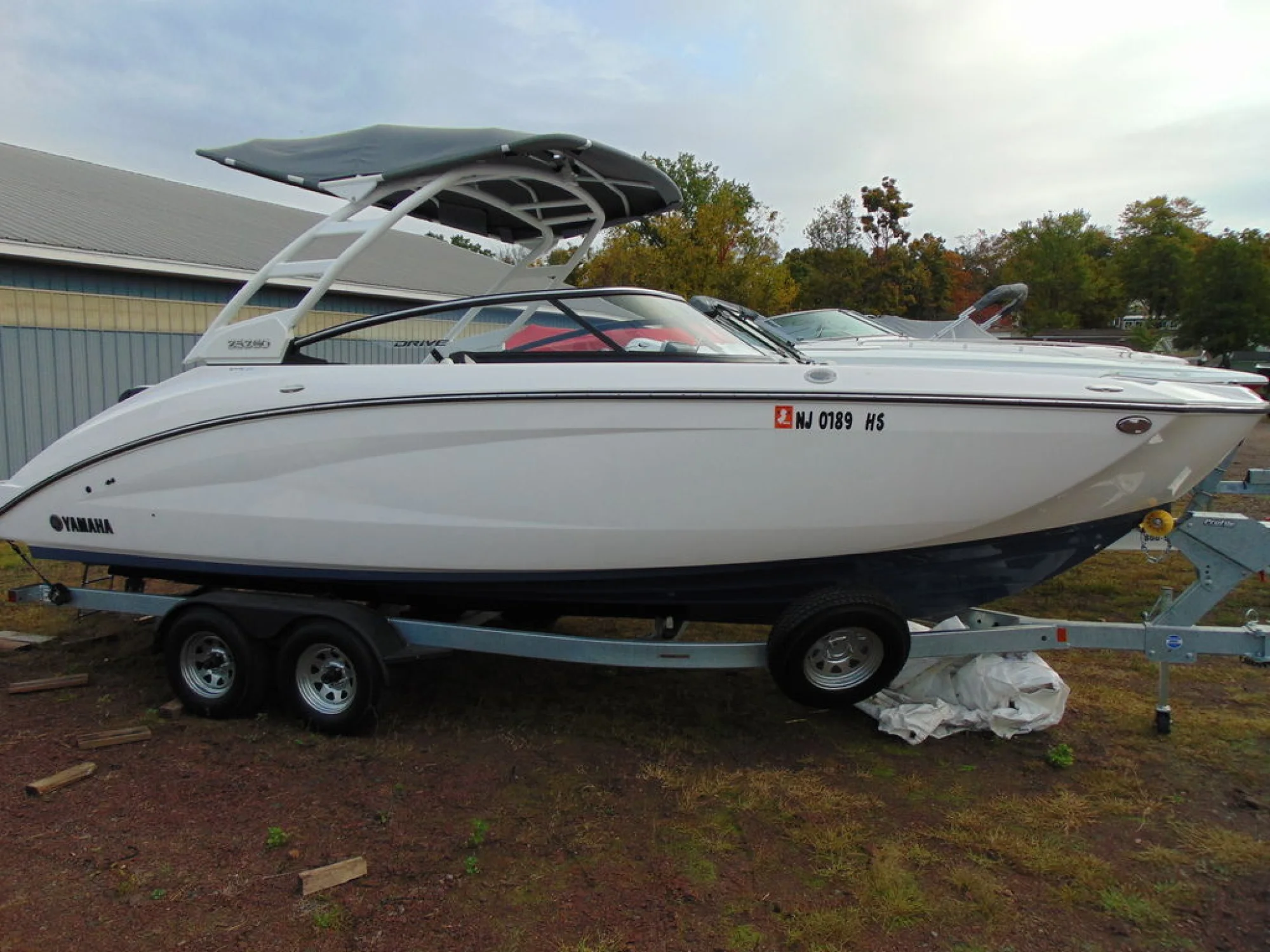 Yamaha Marine 252SD - Image 2