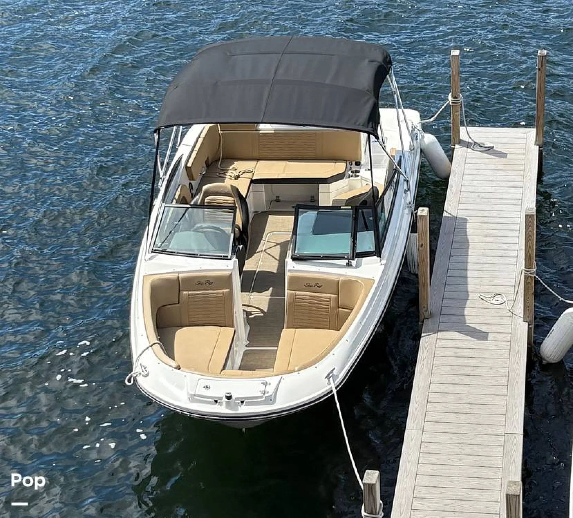 2024 Sea Ray SPX 230 OB - Image 2