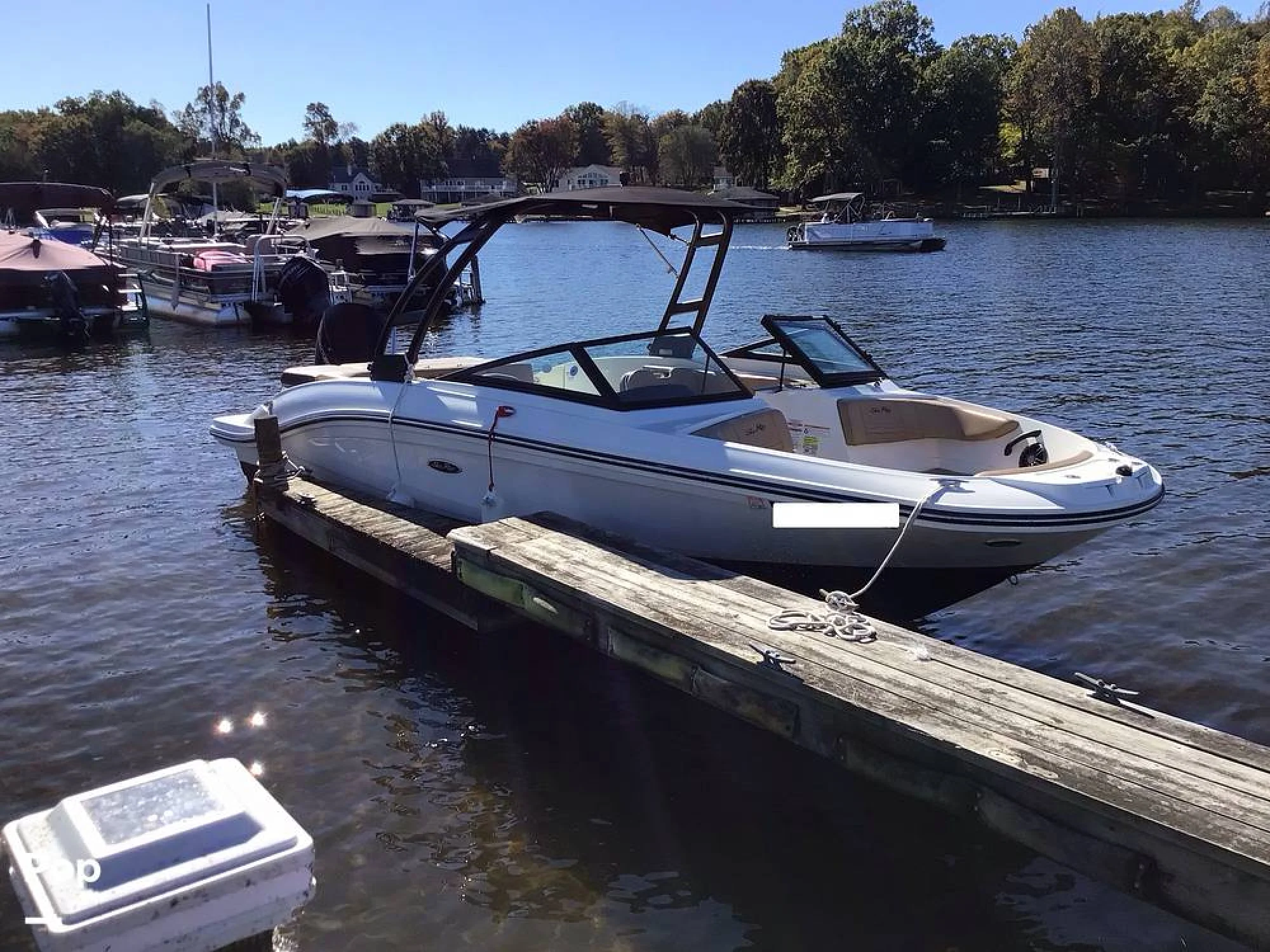 2023 Sea Ray 210 SPX OB - Image 4