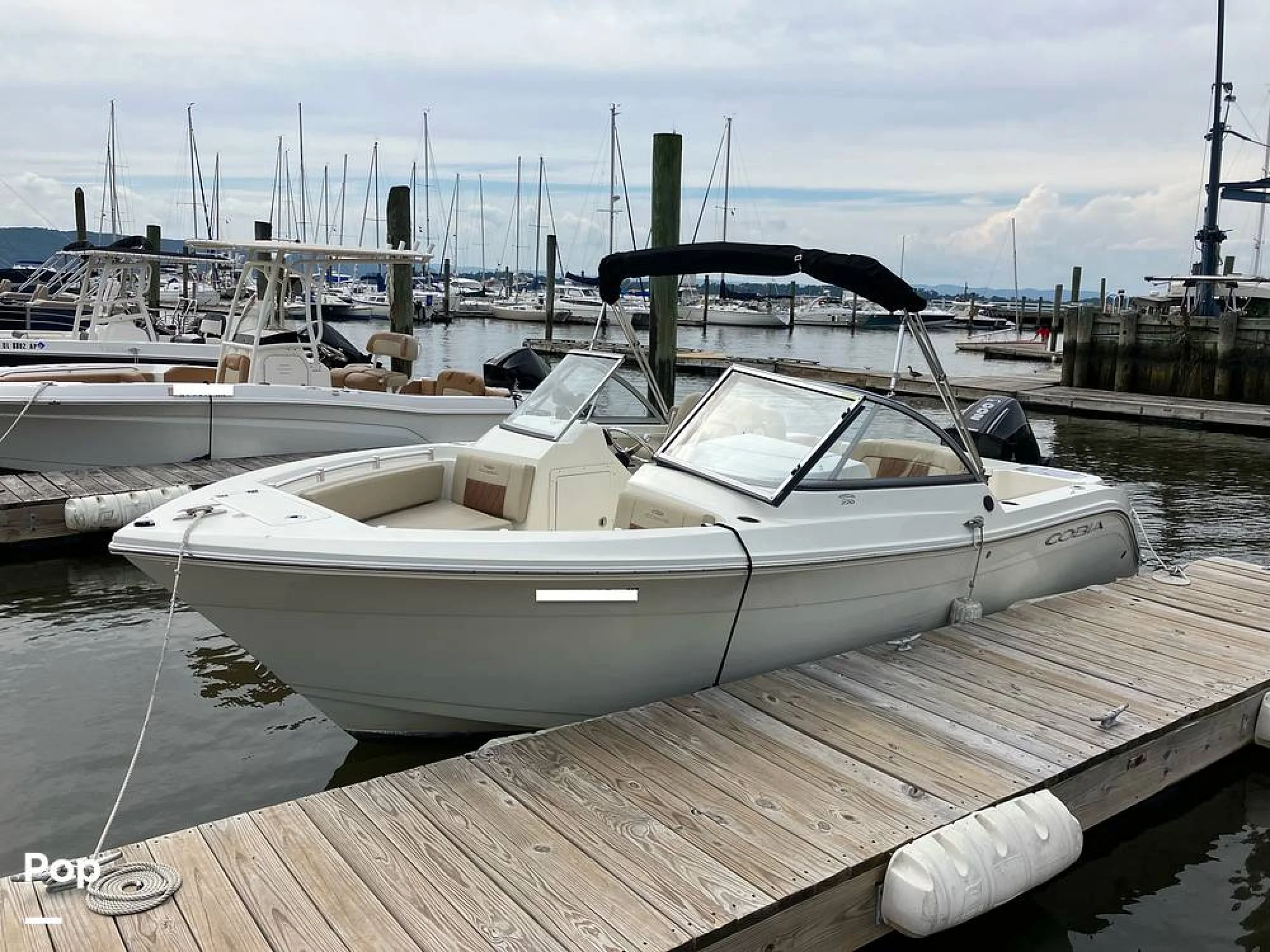 2024 Cobia 220 DC - Image 2