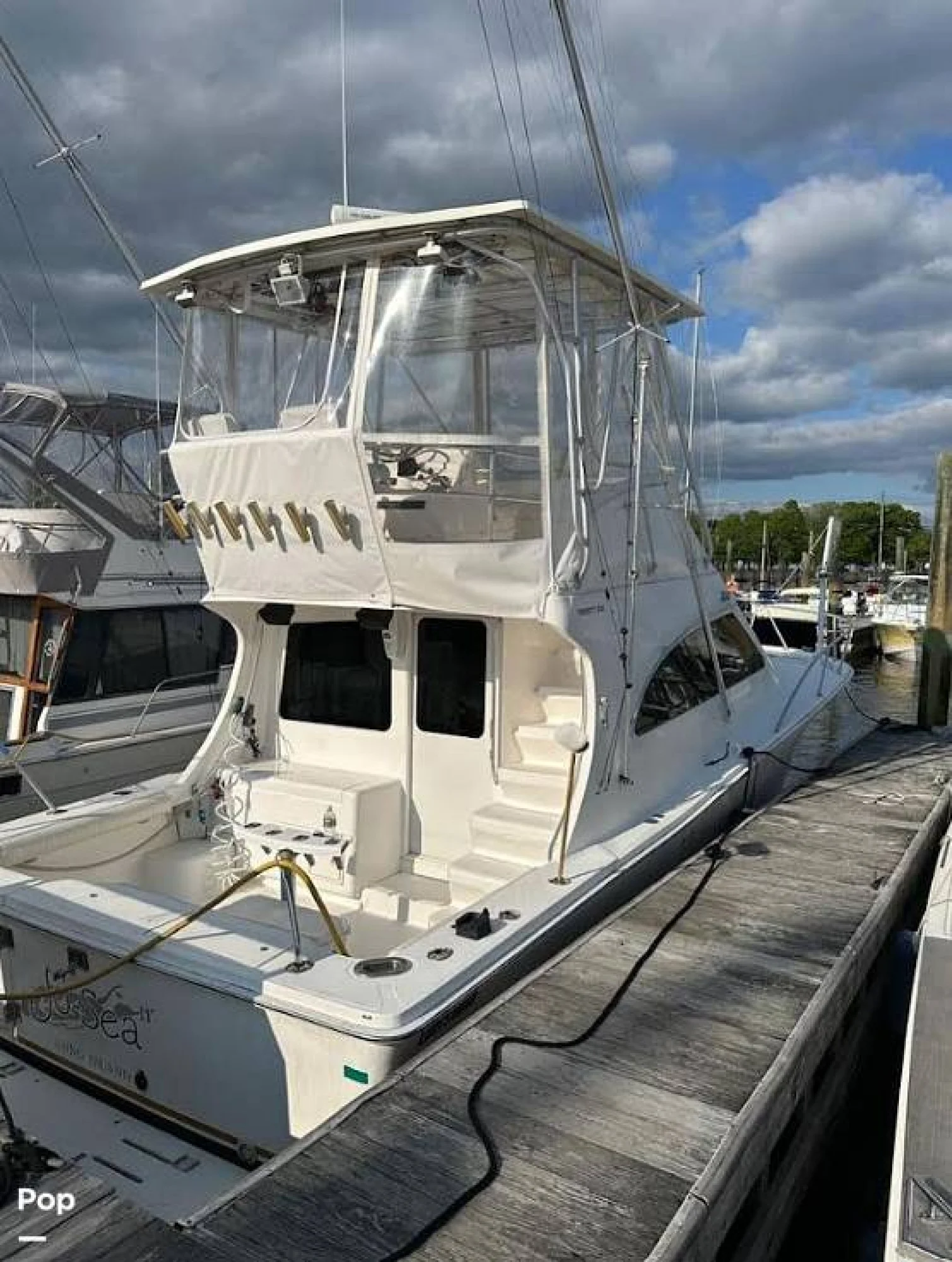 2005 Luhrs 36 Sportfish - Image 2