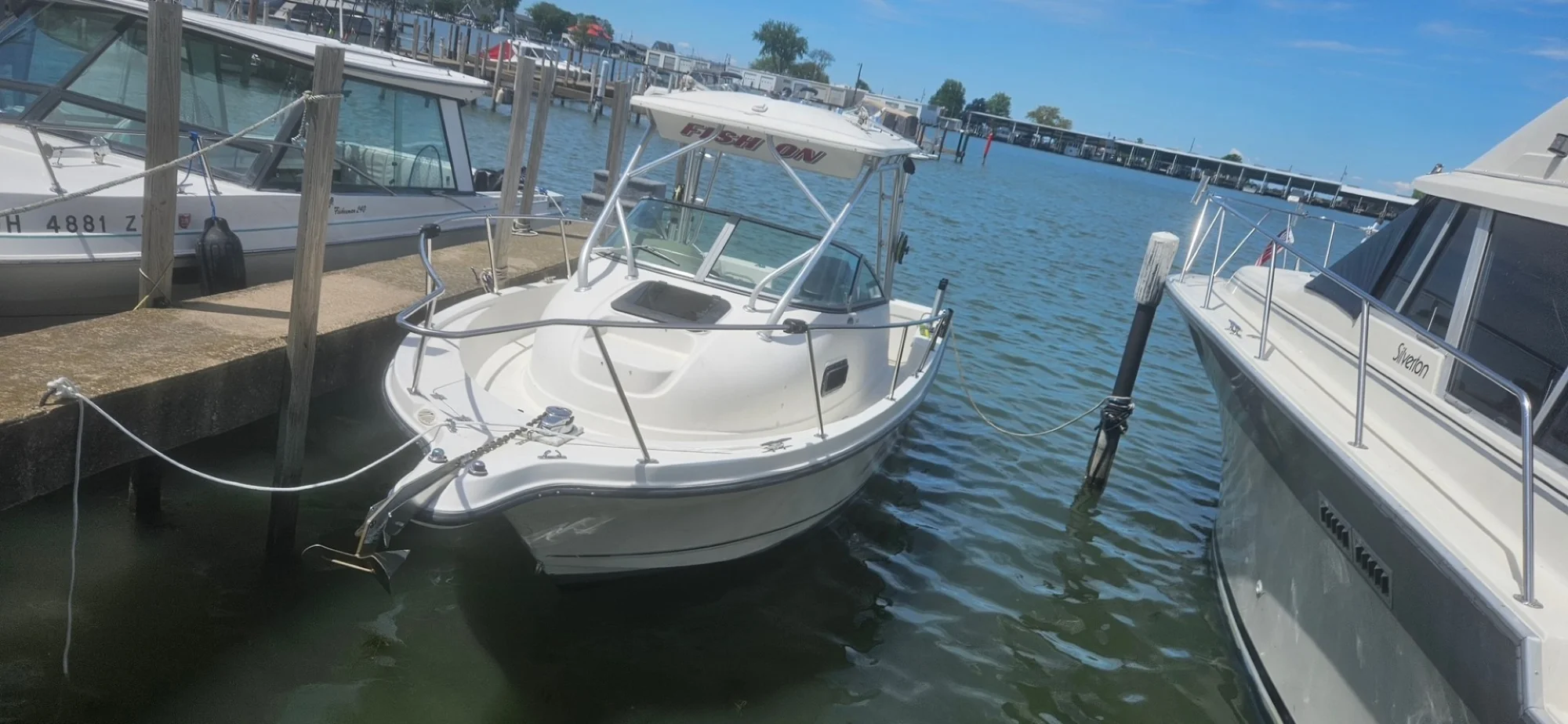 2002 Trophy FF 2002 - Image 3