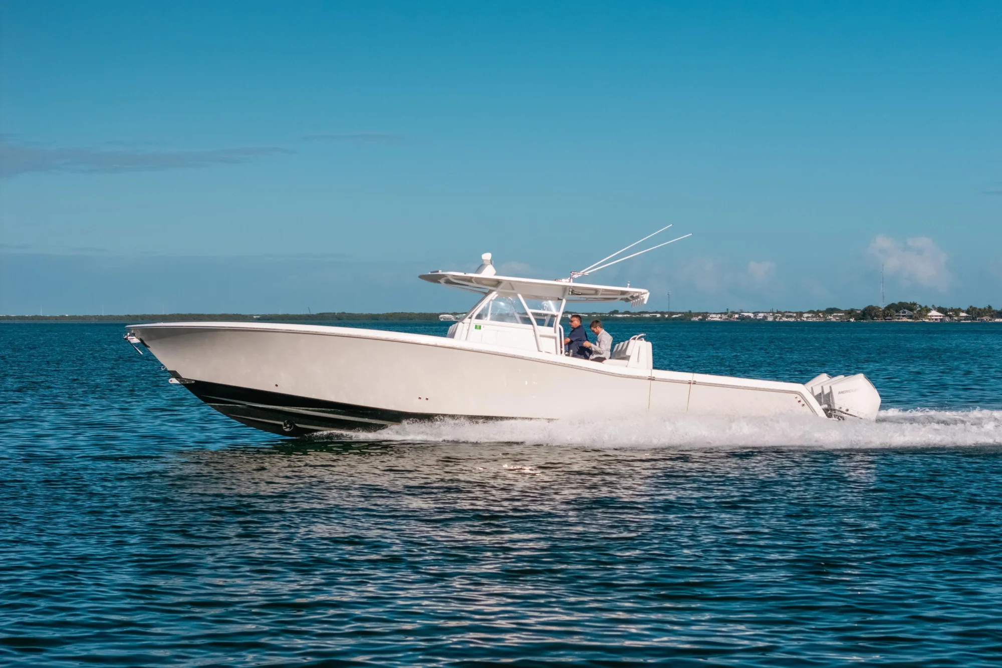 New arrival - Image 2