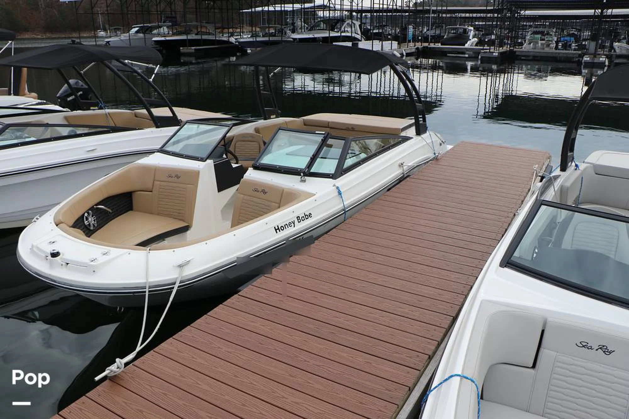 2024 Sea Ray SPX 230 - Image 3