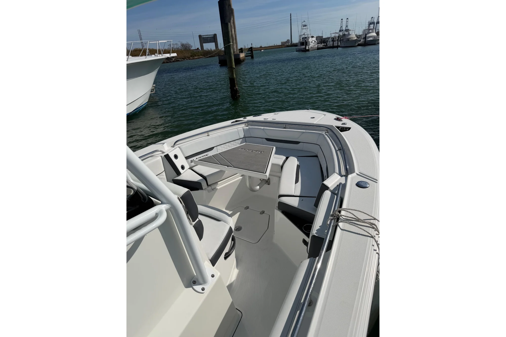 2021 Blackfin 252 CC - Image 5