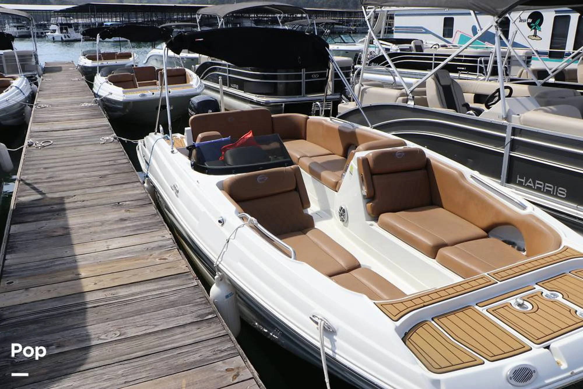 2023 Crownline E225 XS - Main Image