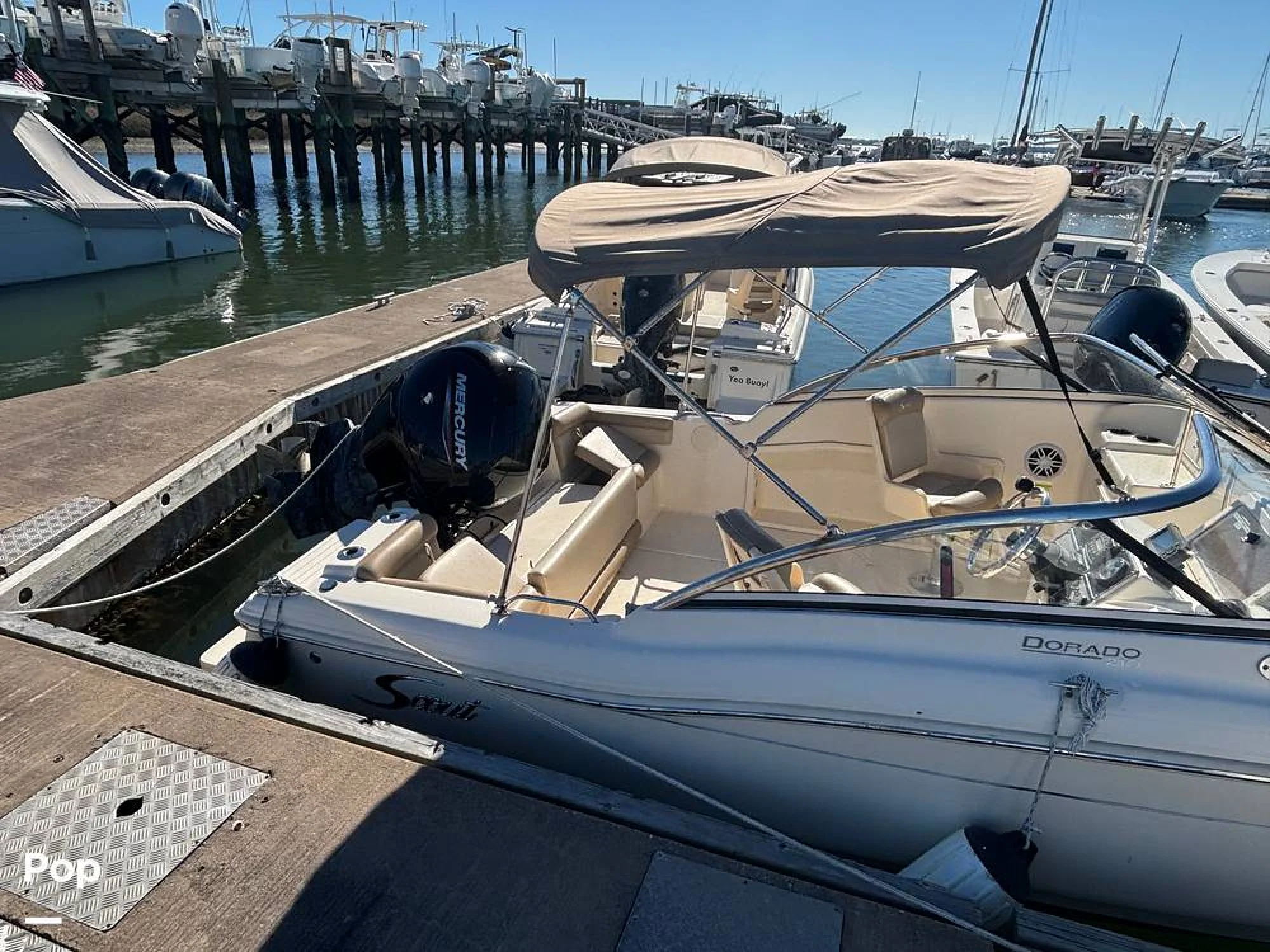 2023 Scout 210 Dorado - Image 5