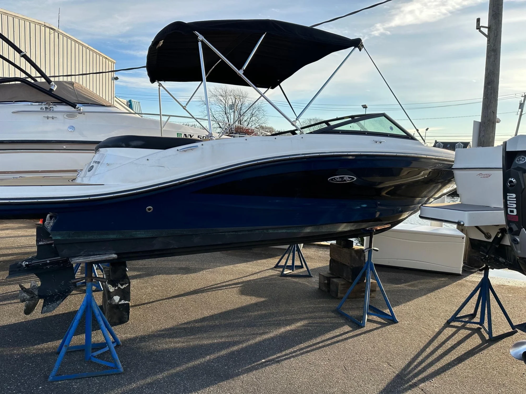 2021 Sea Ray SPX 190 - Image 4
