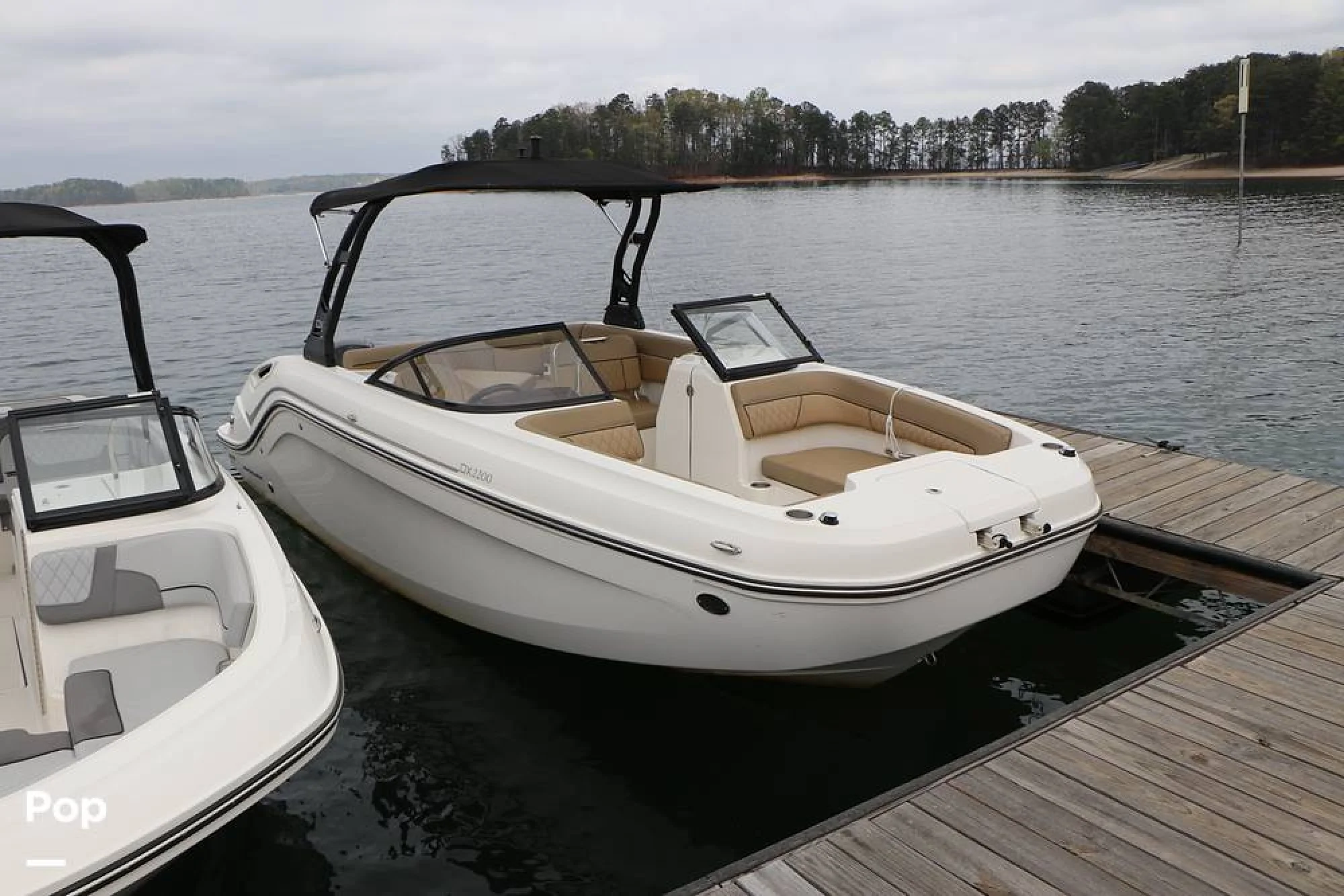 2023 Bayliner DX2200 - Image 5