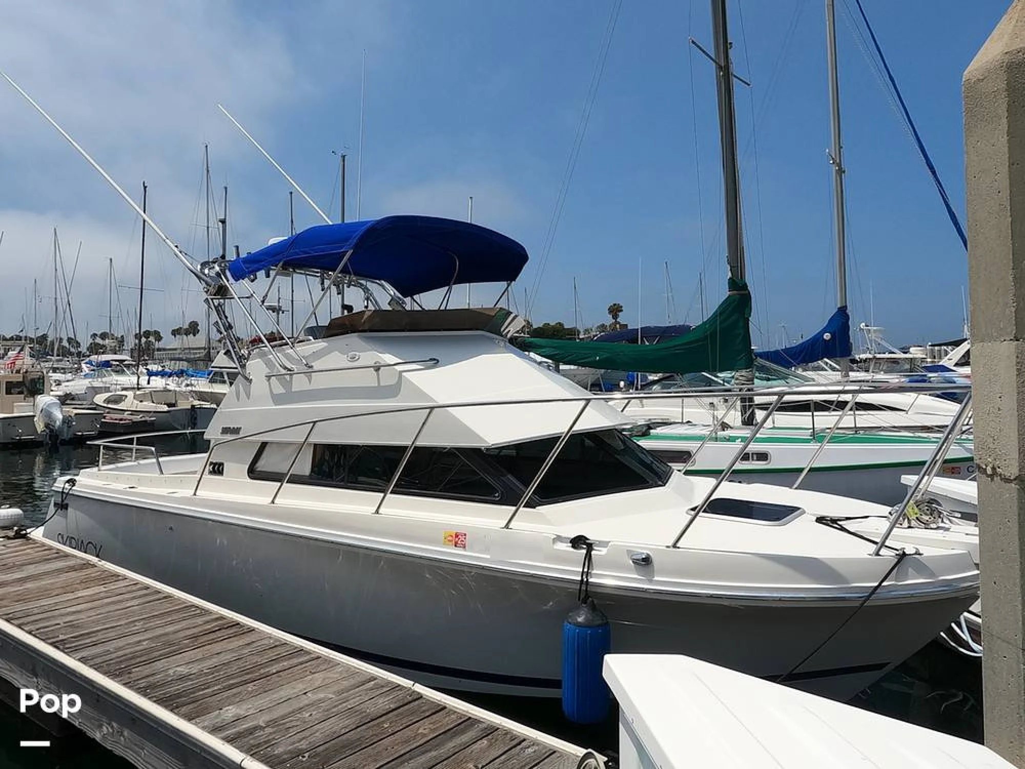 1994 Skipjack Flybridge 262 - Main Image