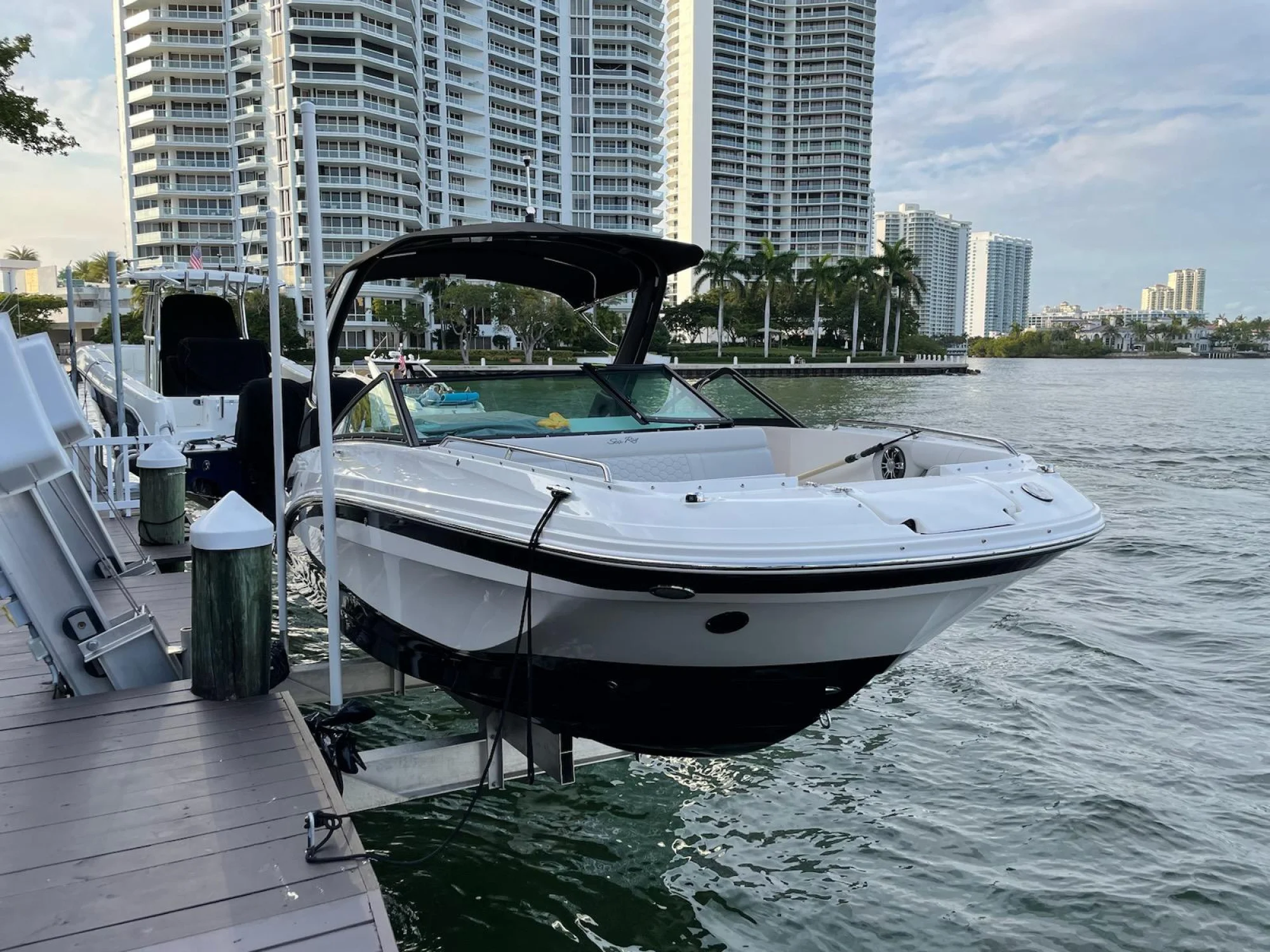 Sea Ray SDX 250