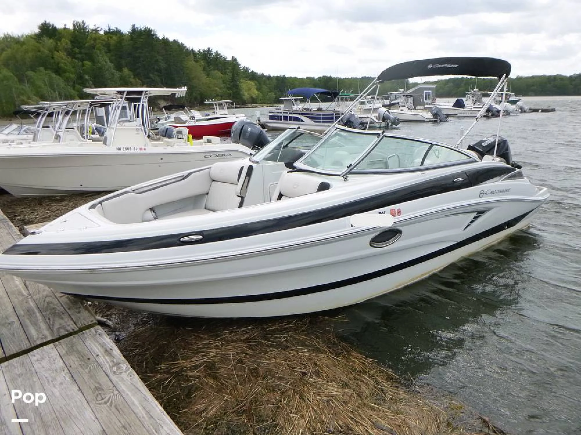 2023 Crownline 250 XSS - Image 3