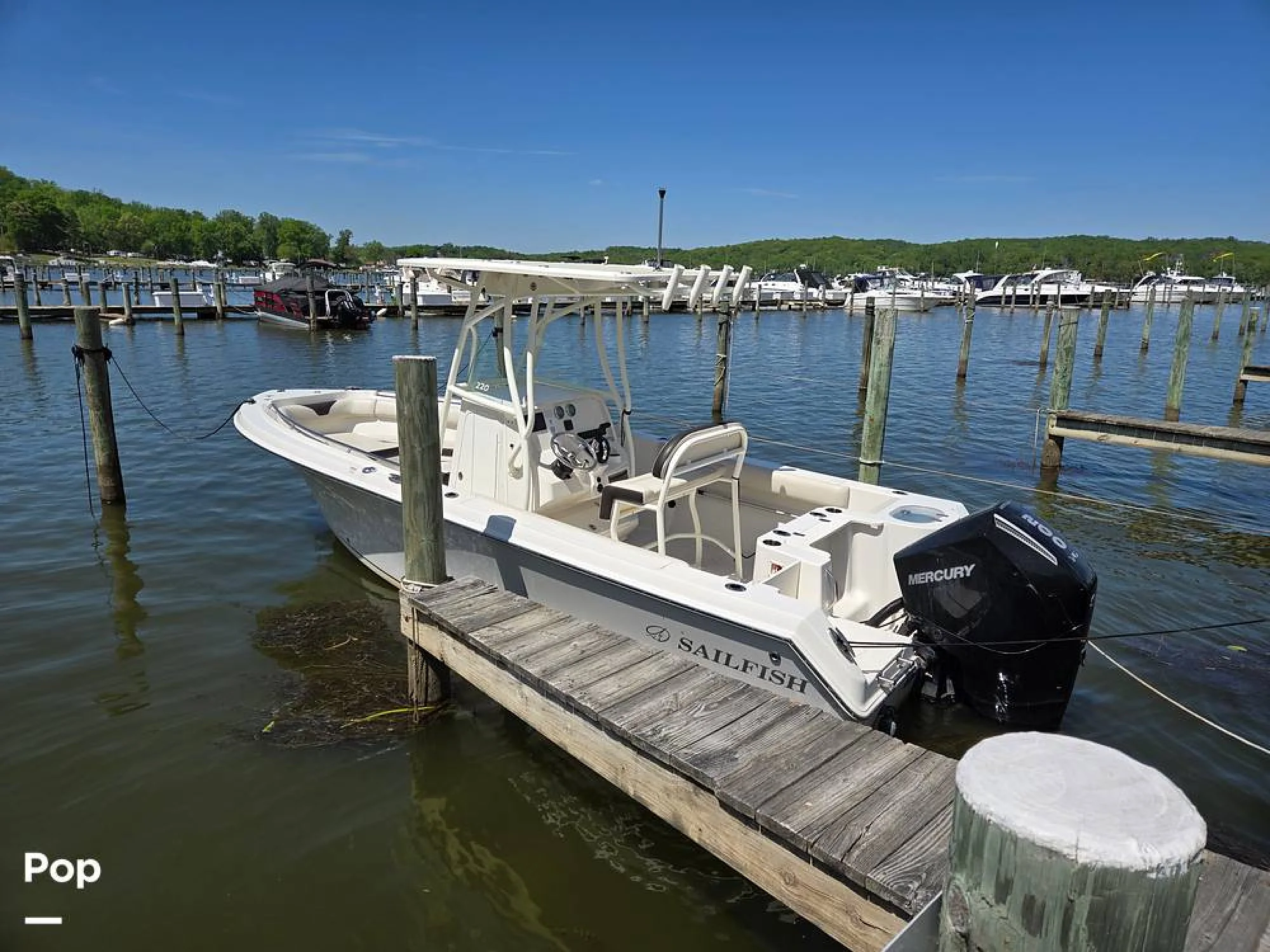 2024 Sailfish 220 CC - Image 2