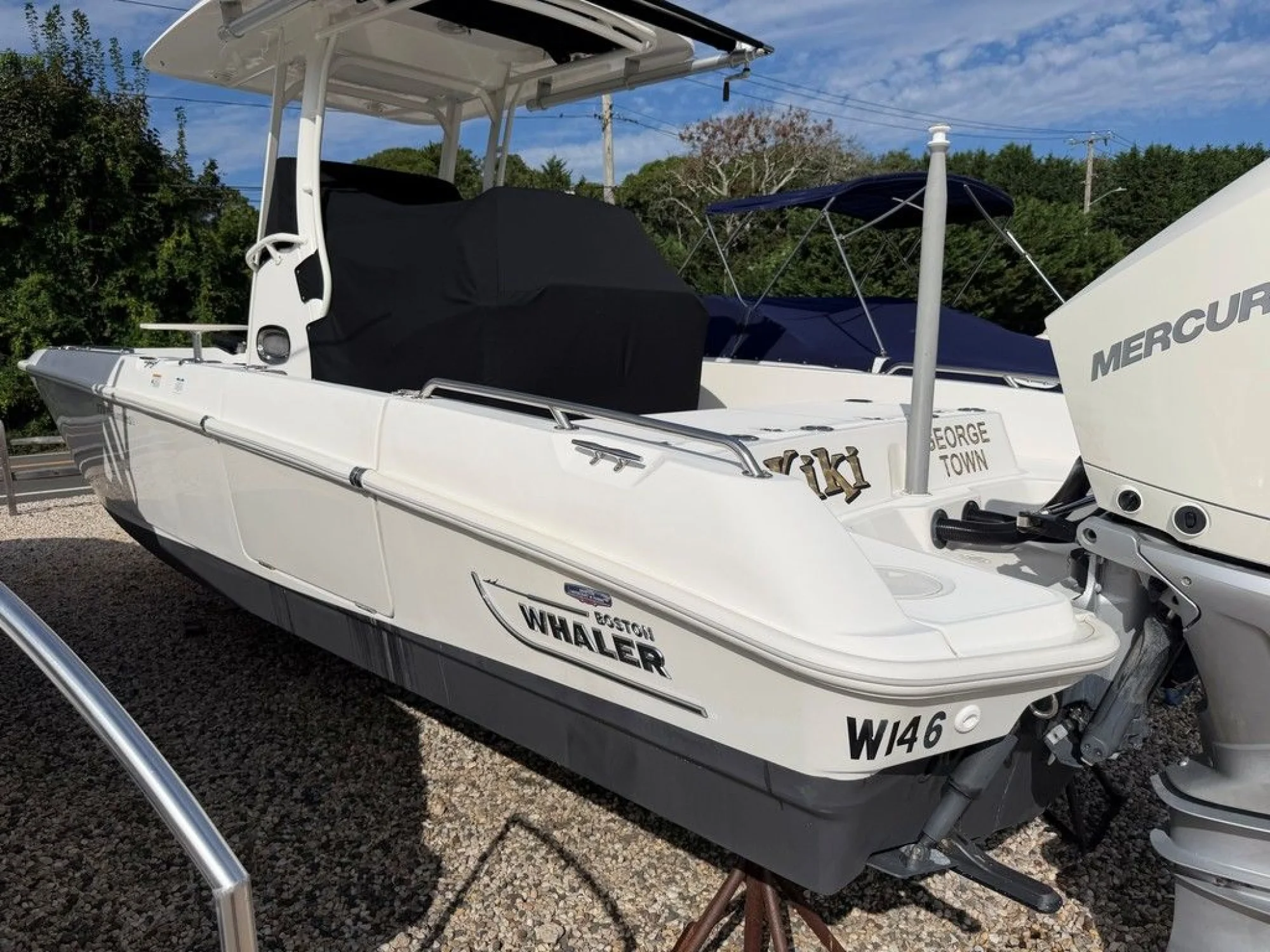 Boston Whaler 270 Dauntless - Image 3