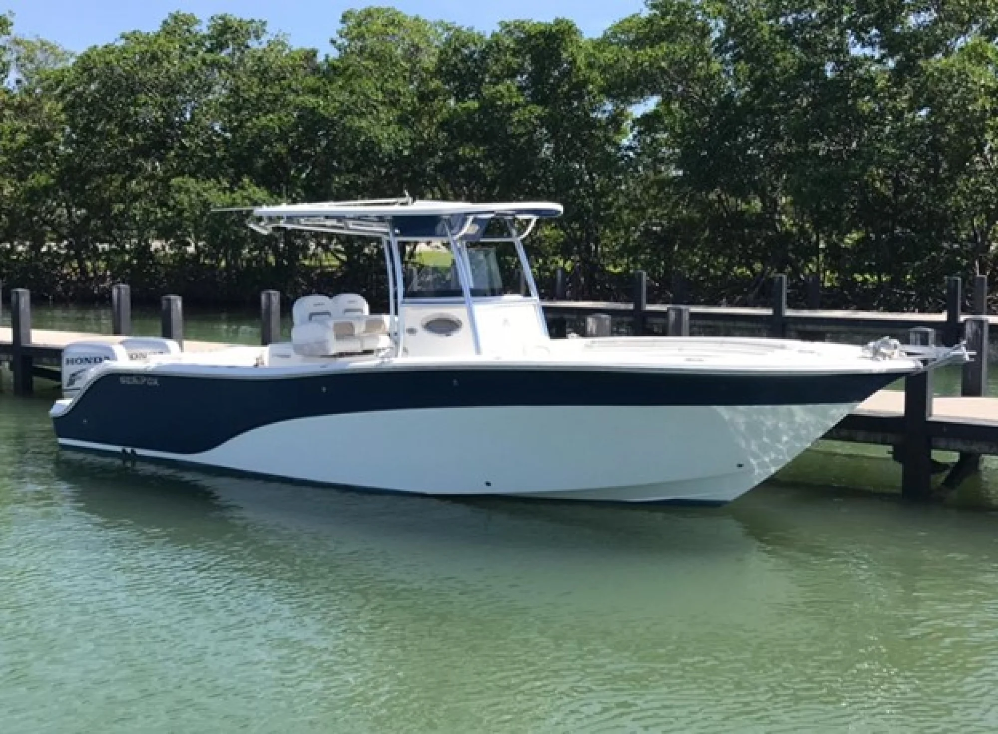 2009 SEA FOX 288CC