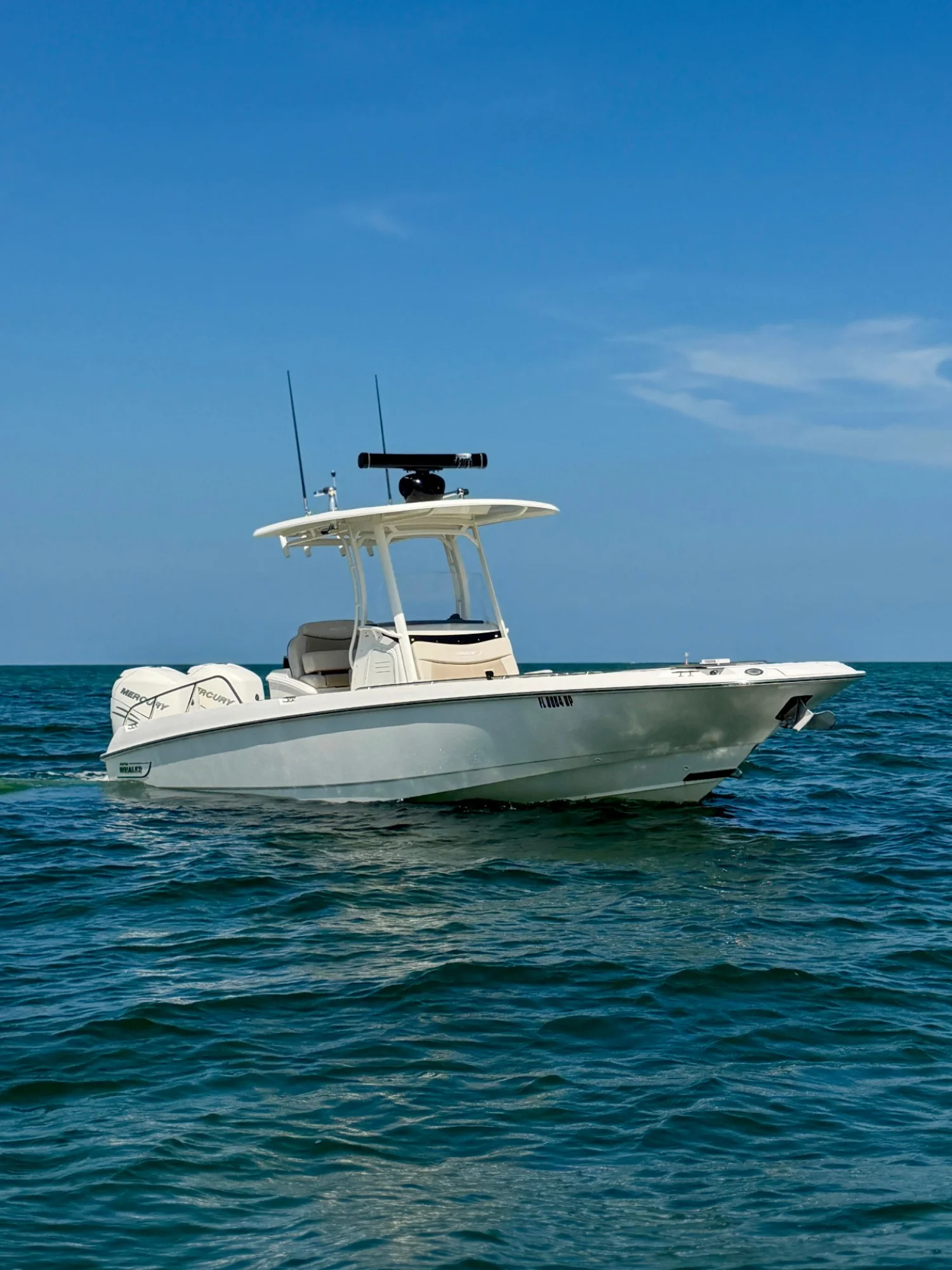 2017 Boston Whaler 270 Dauntless - Image 3