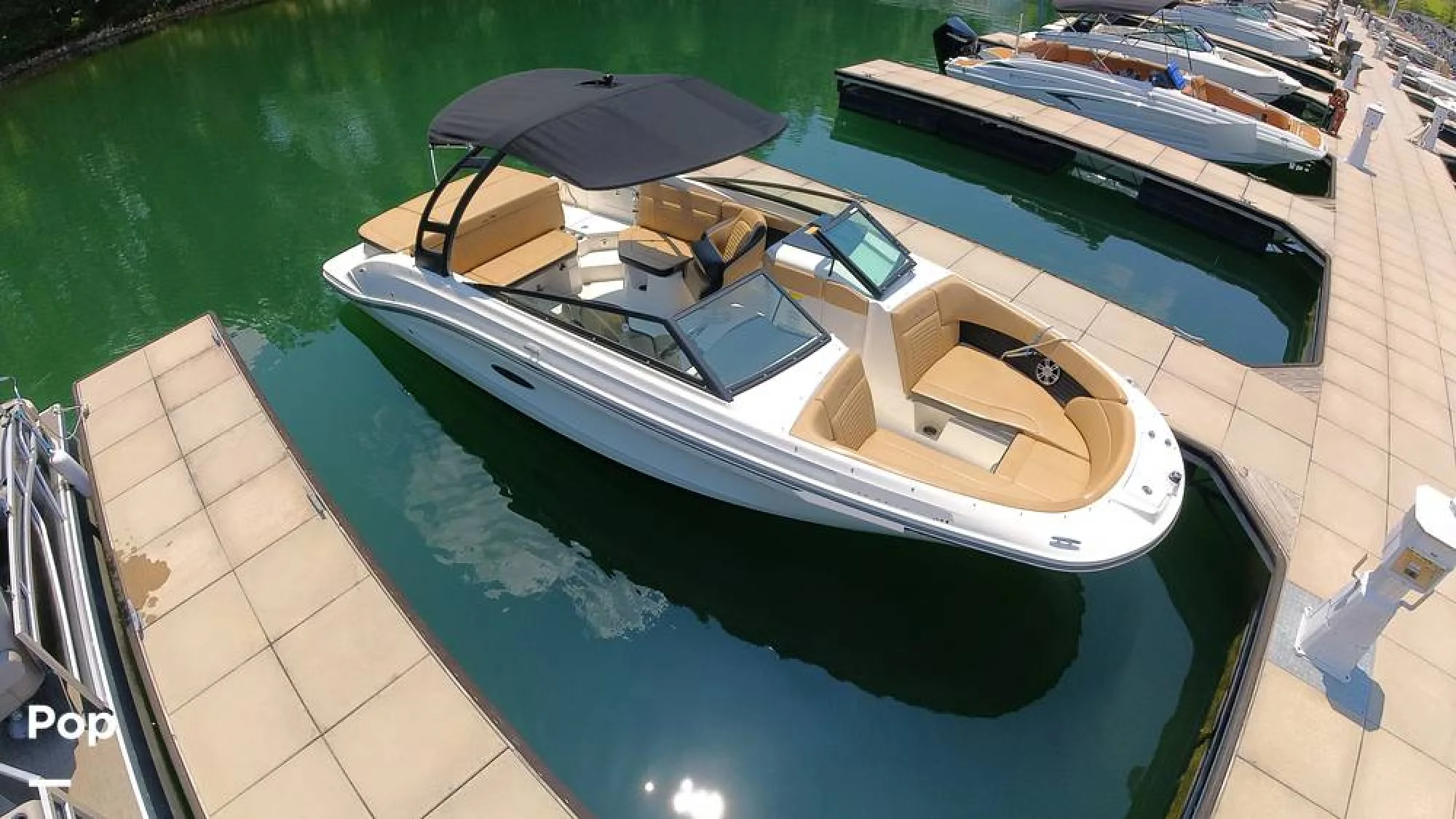 2024 Sea Ray SPX 230 - Main Image