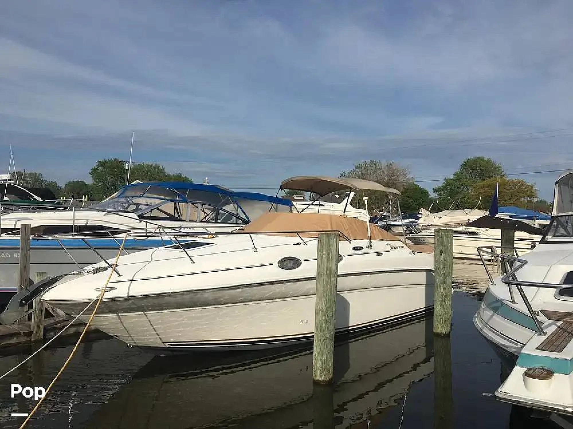 2001 Sea Ray 260 Sundancer - Image 2