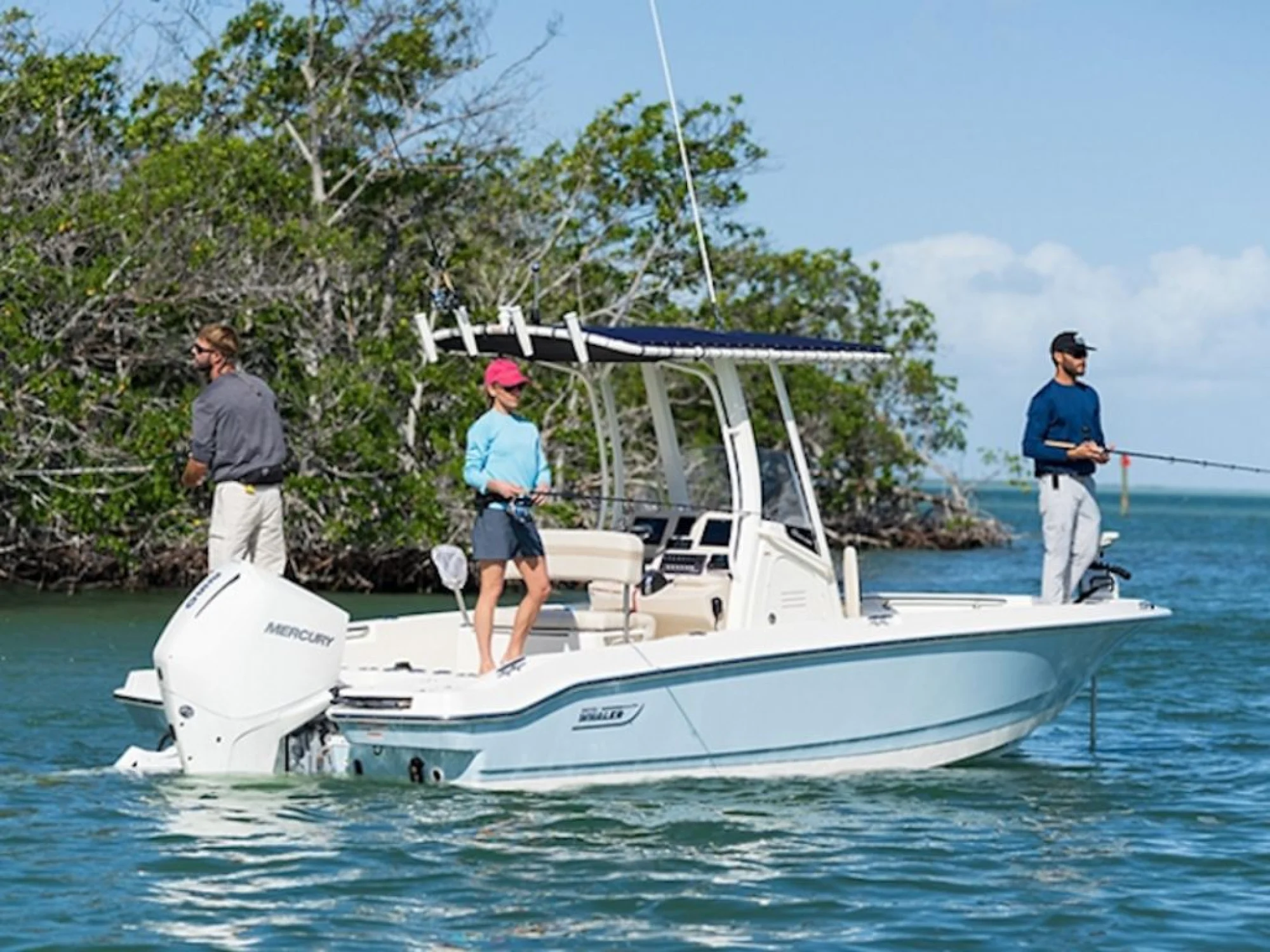 Boston Whaler 220 Dauntless - Image 4