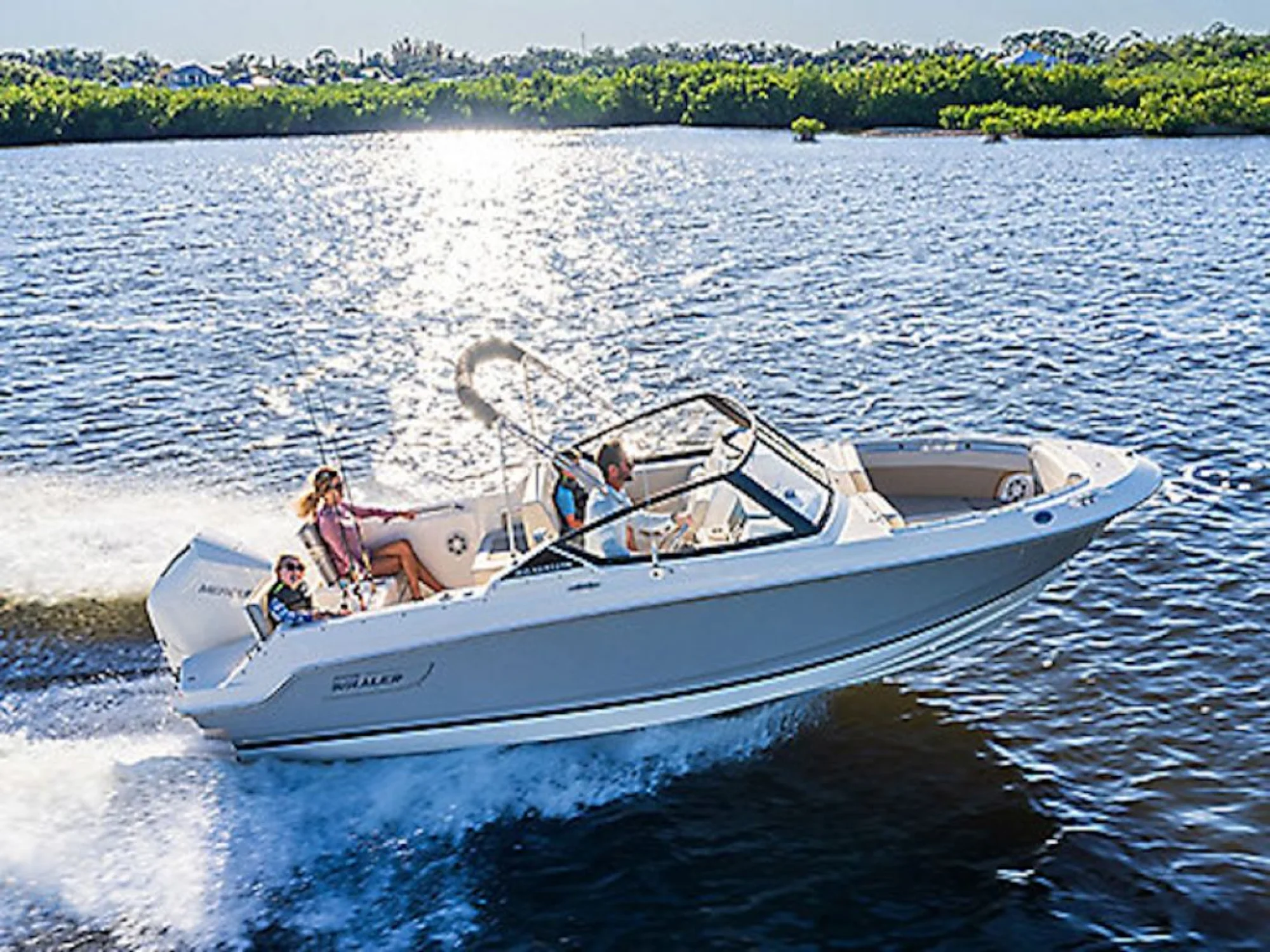 Boston Whaler 210 Vantage