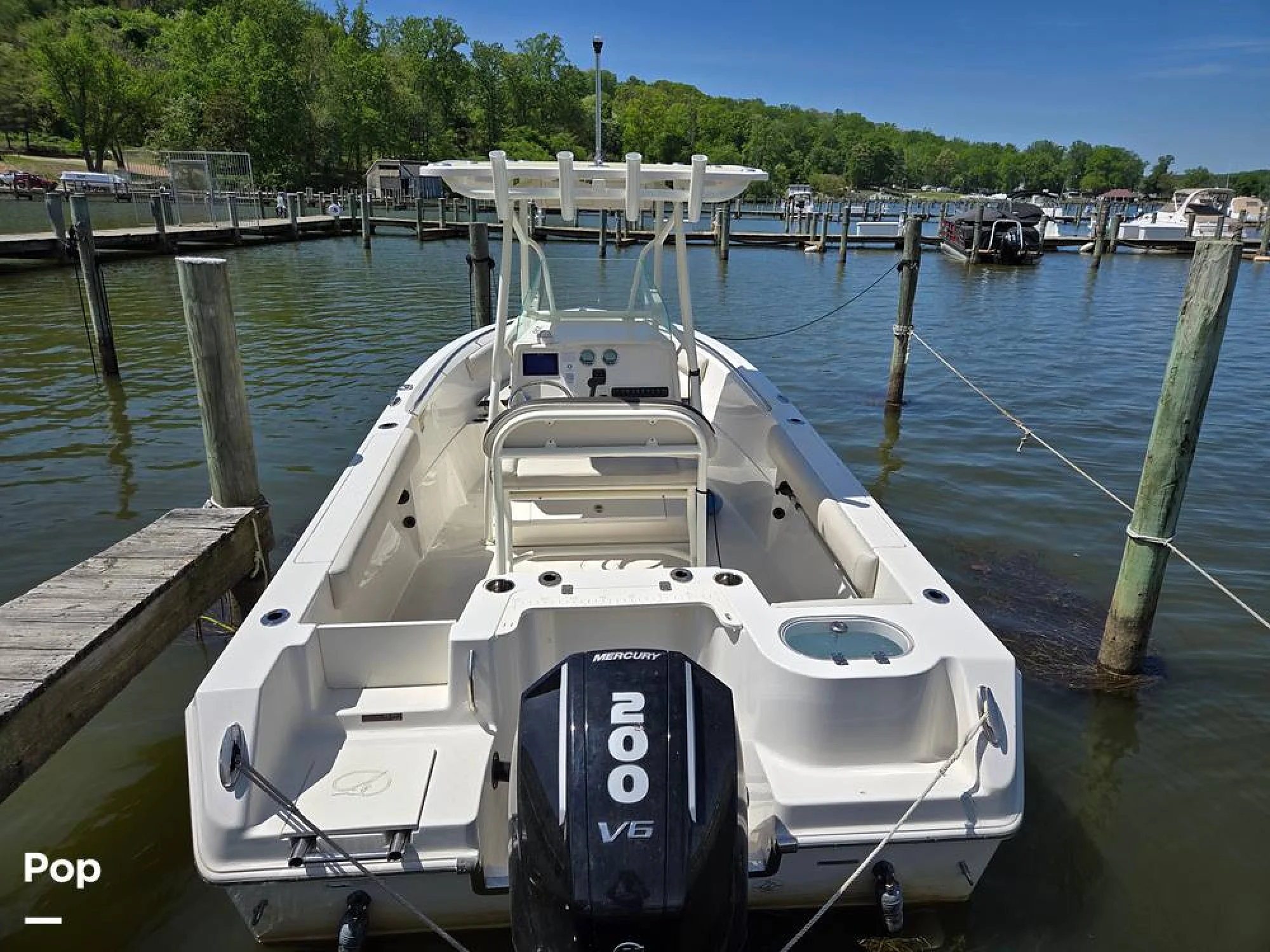 2024 Sailfish 220 CC - Image 3