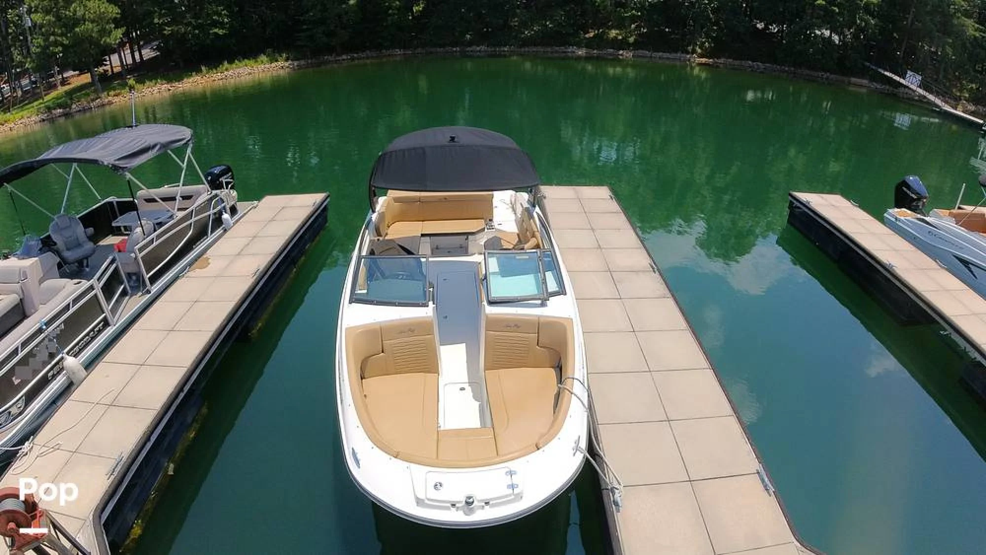 2024 Sea Ray SPX 230 - Image 3