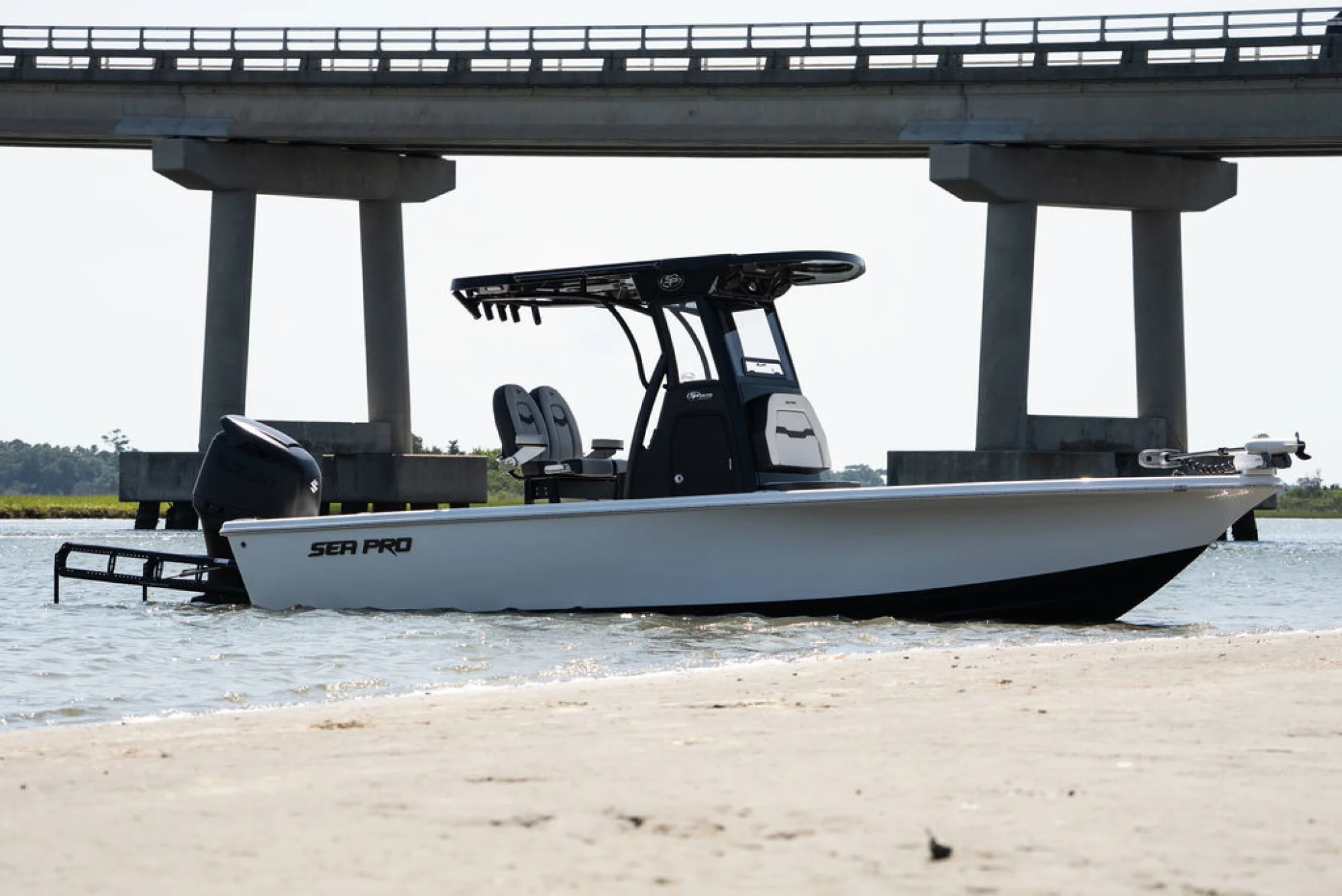 Sea Pro 250 DLX - Image 5