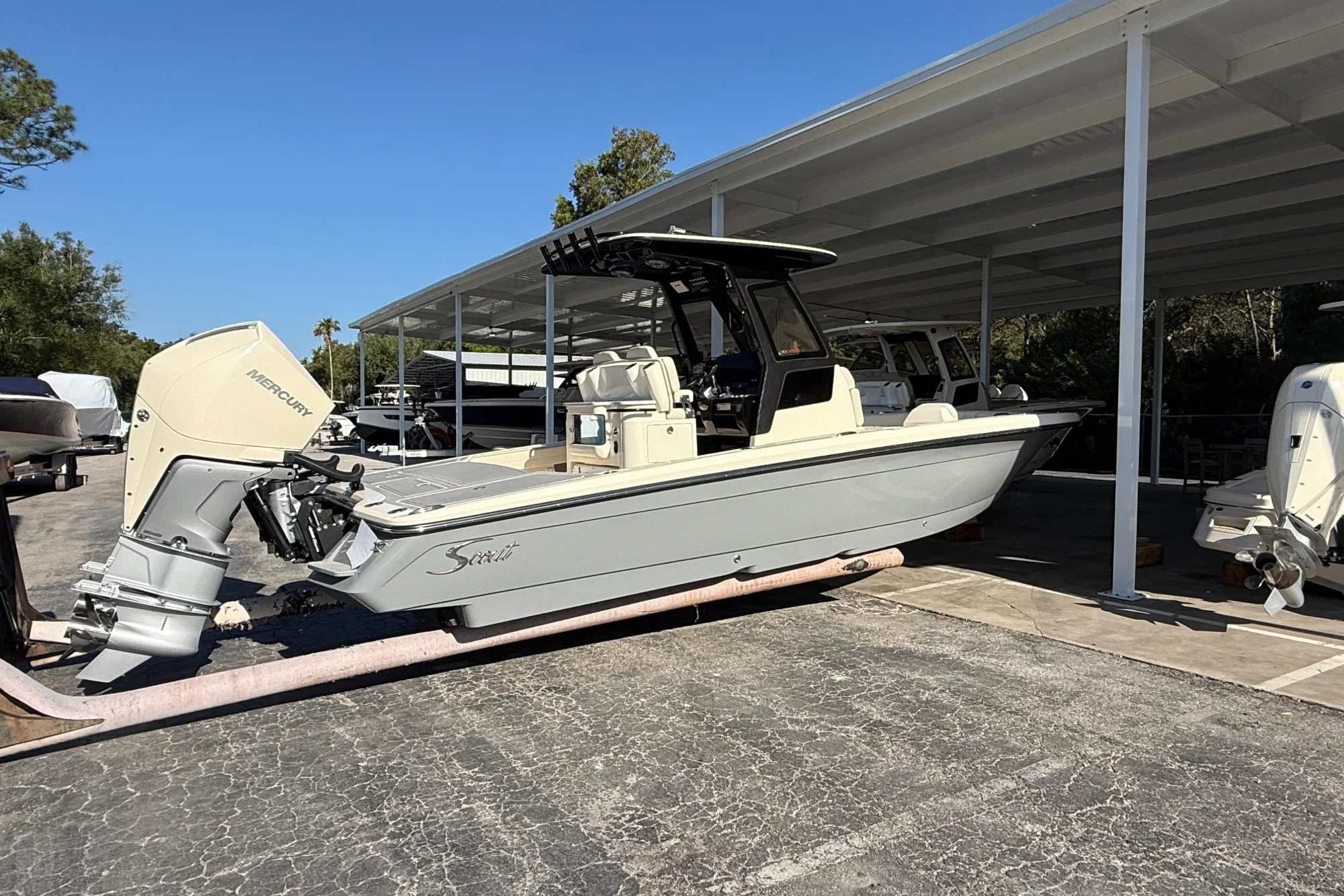 2026 Scout 281 XSS - Image 2