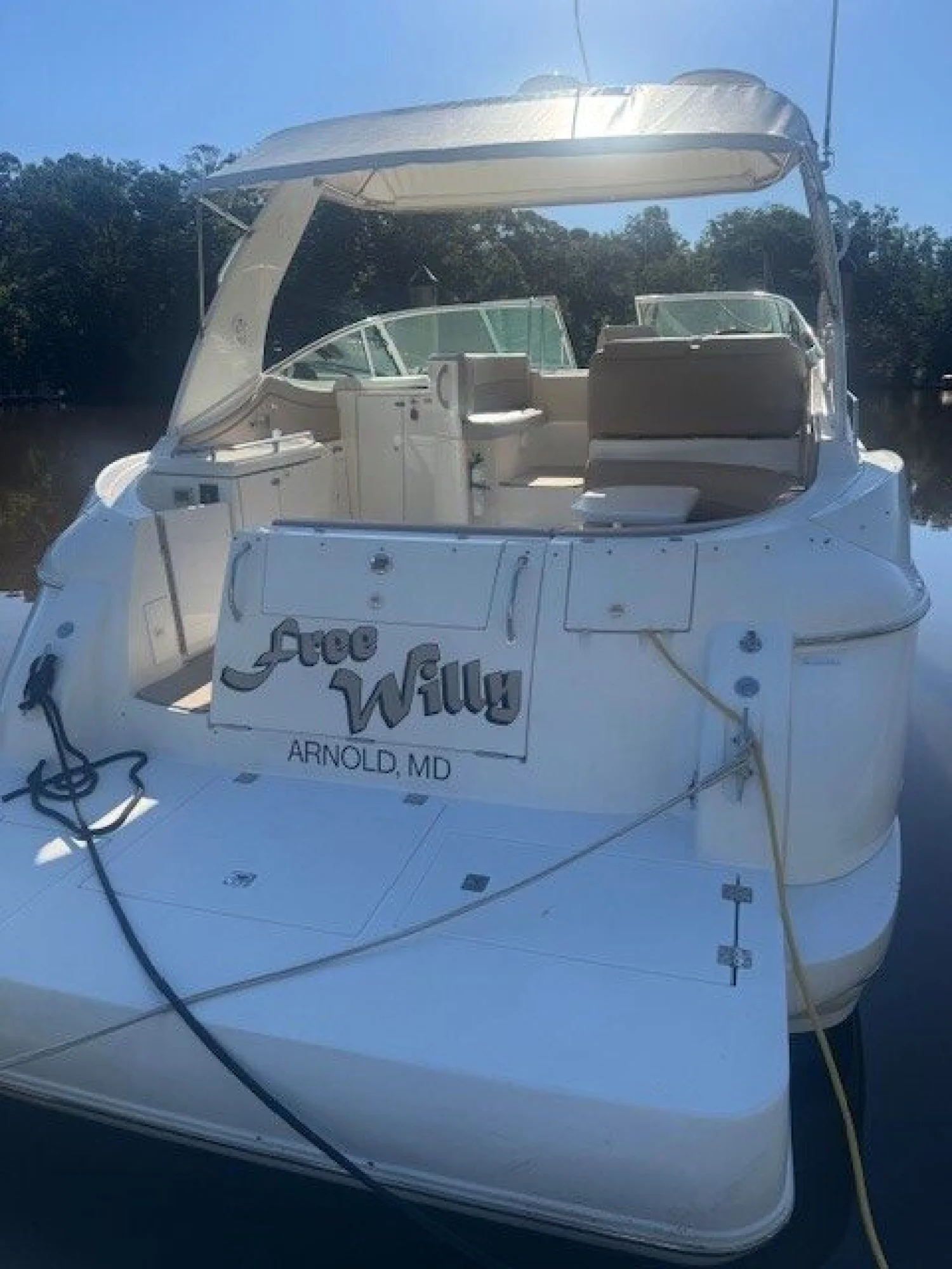 2001 Cruisers Yachts 3672 Express - Image 4