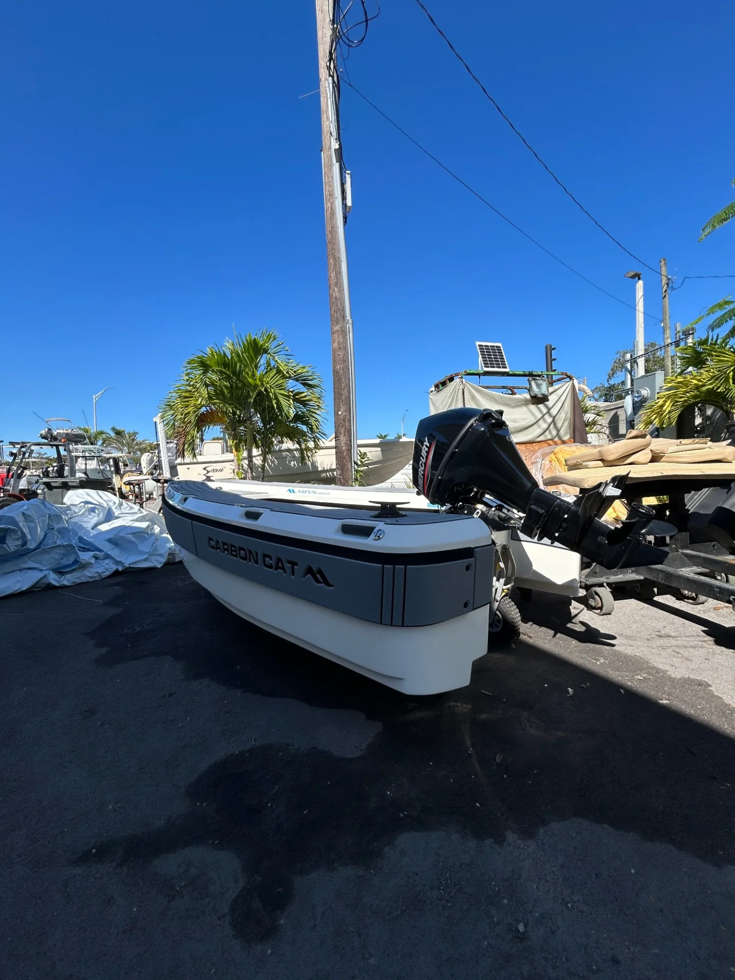 2024 Aspen T10 Carbon Cat - Image 3