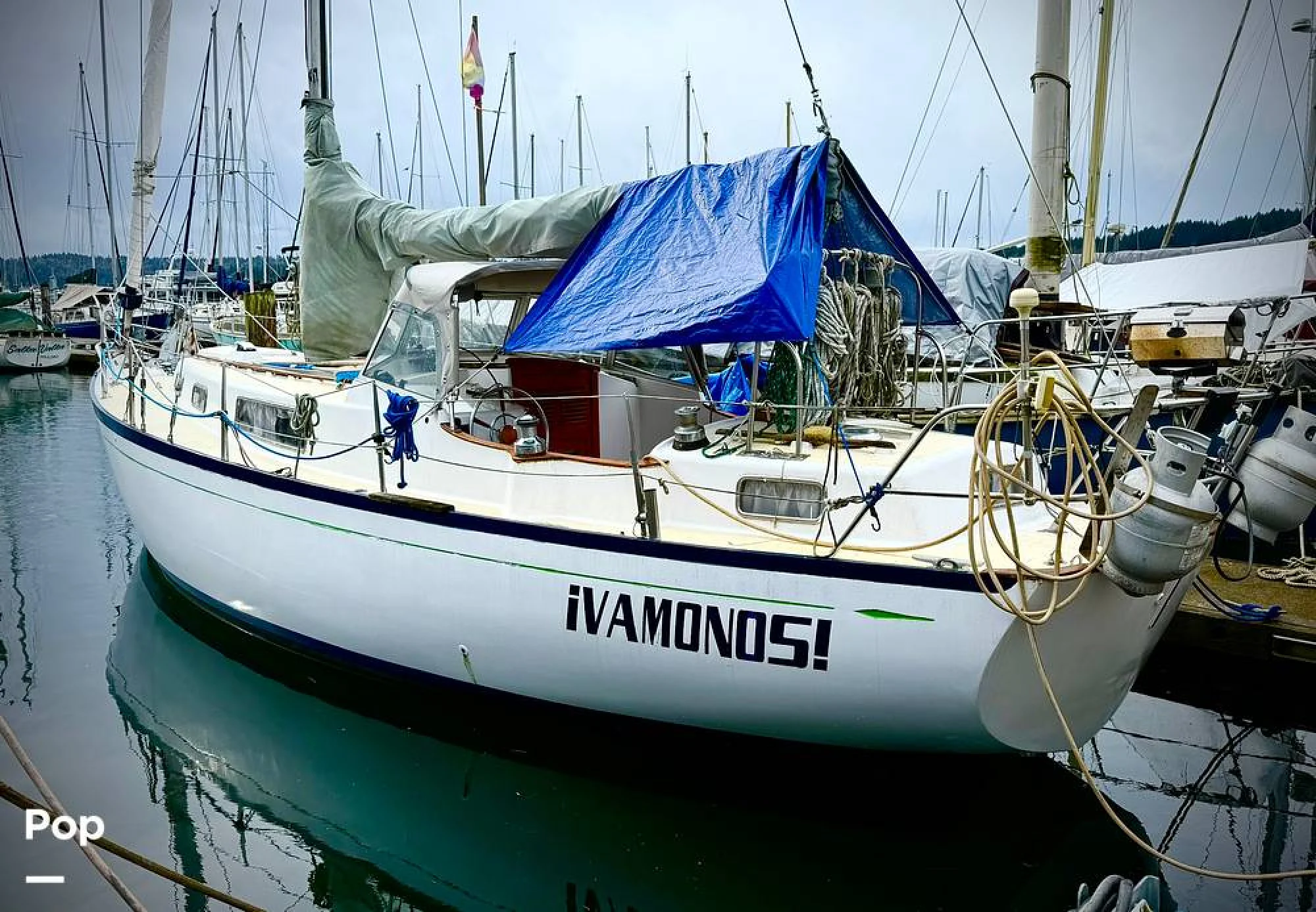 1972 Hallberg-Rassy Rasmus 35 - Image 5