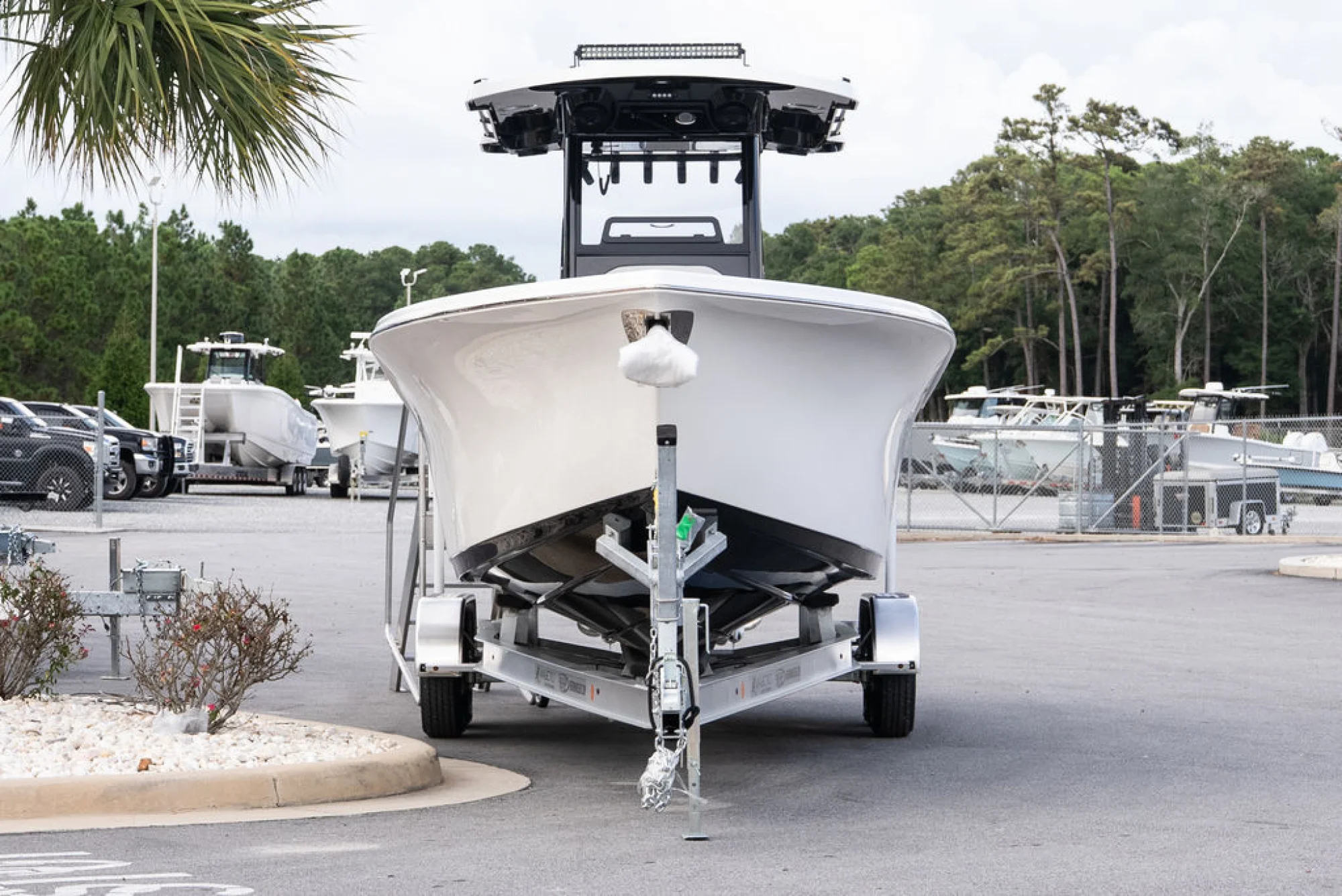 Sea Pro 262 DLXR - Image 3