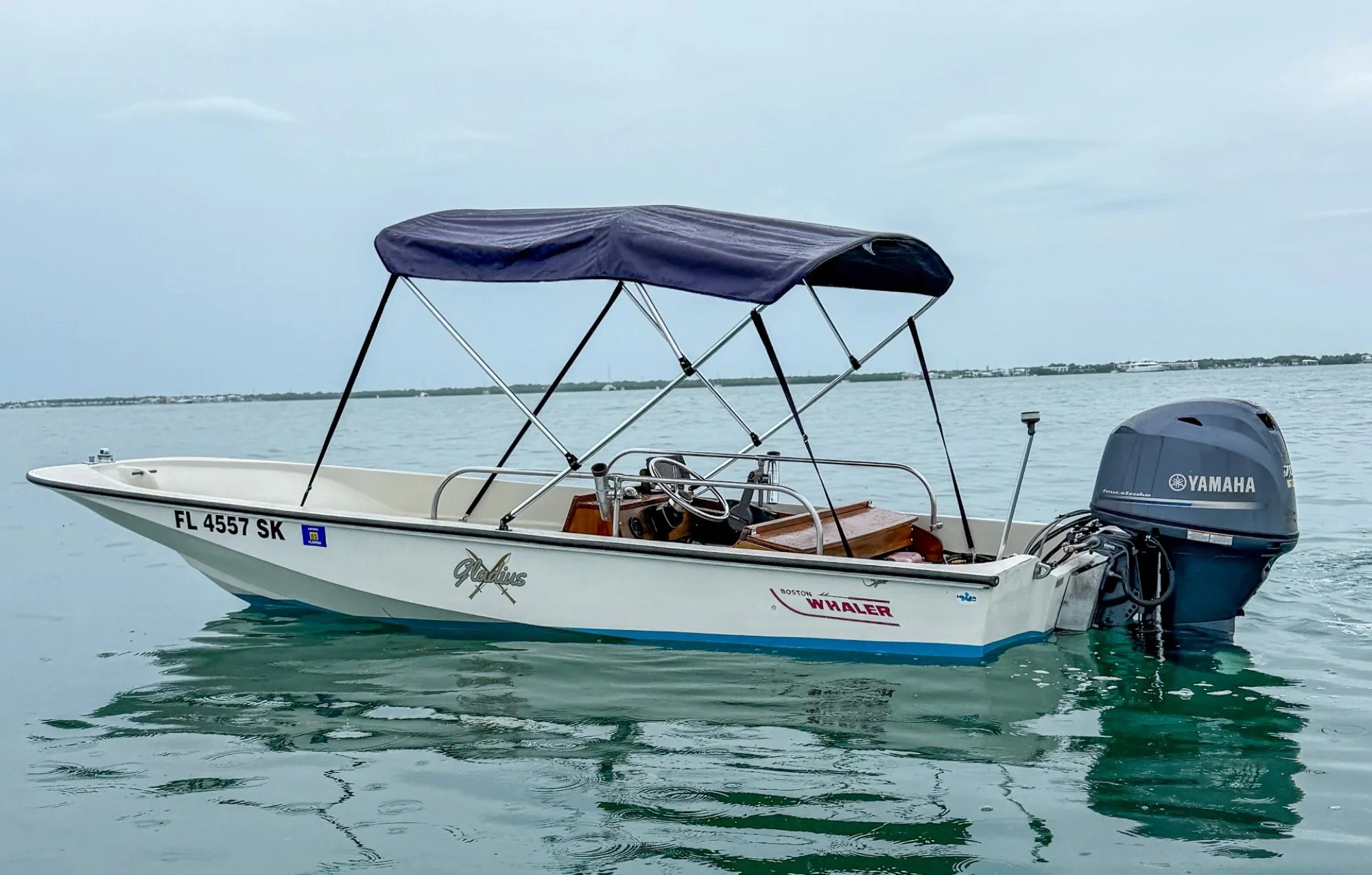 1983 Boston Whaler 15