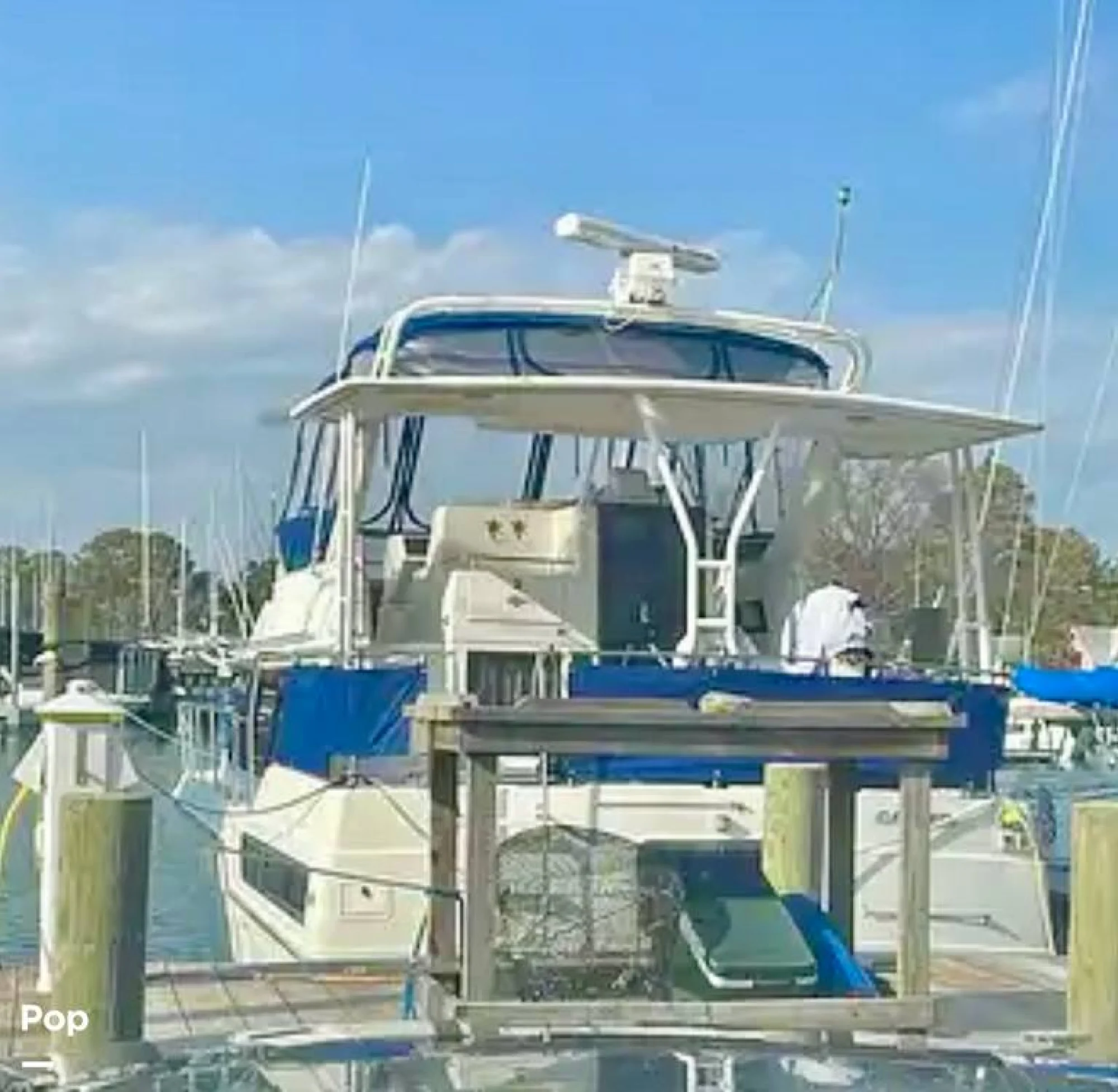 1992 Carver 36 Aft Cabin - Main Image