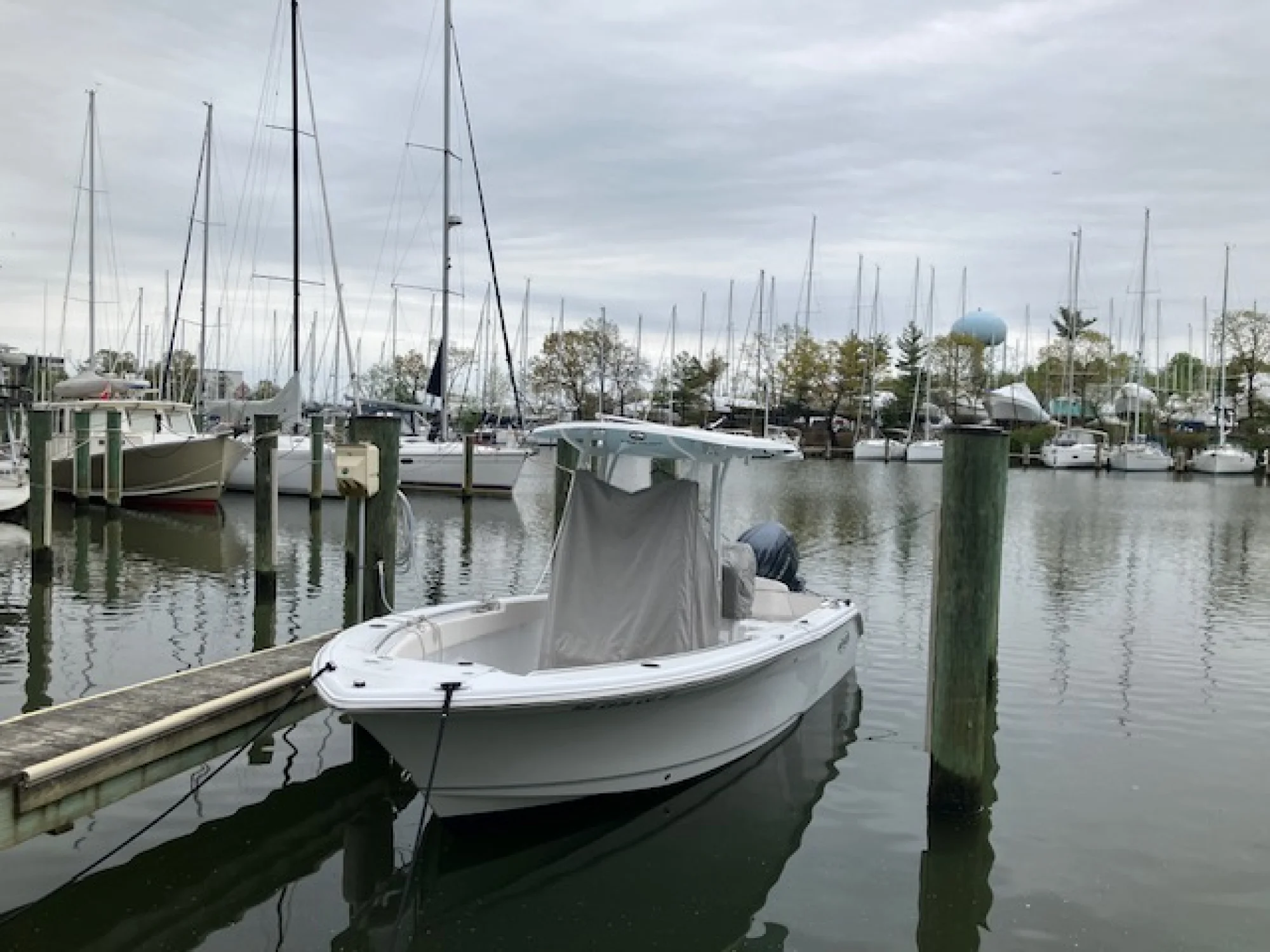 2024 Sea Hunt Ultra 219 - Image 4