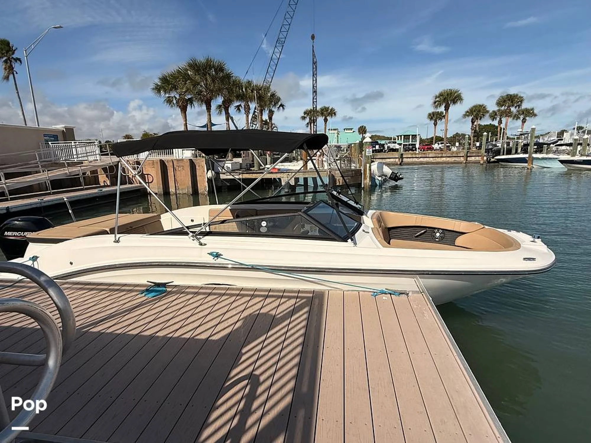 2024 Sea Ray 230 SPX OB - Main Image