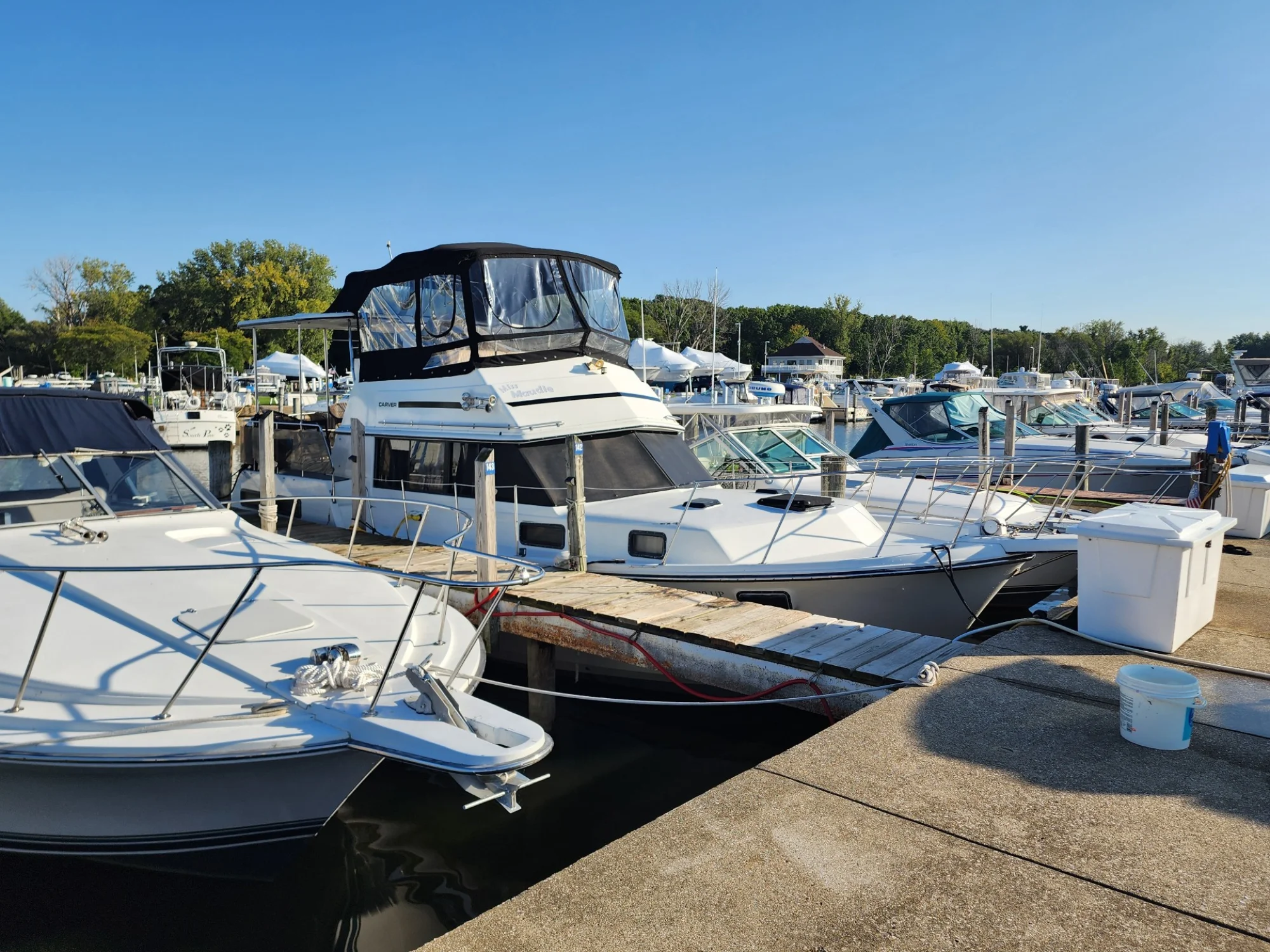 36 ft 1989 Carver 3607 Aft Cabin Motor Yacht - Image 4