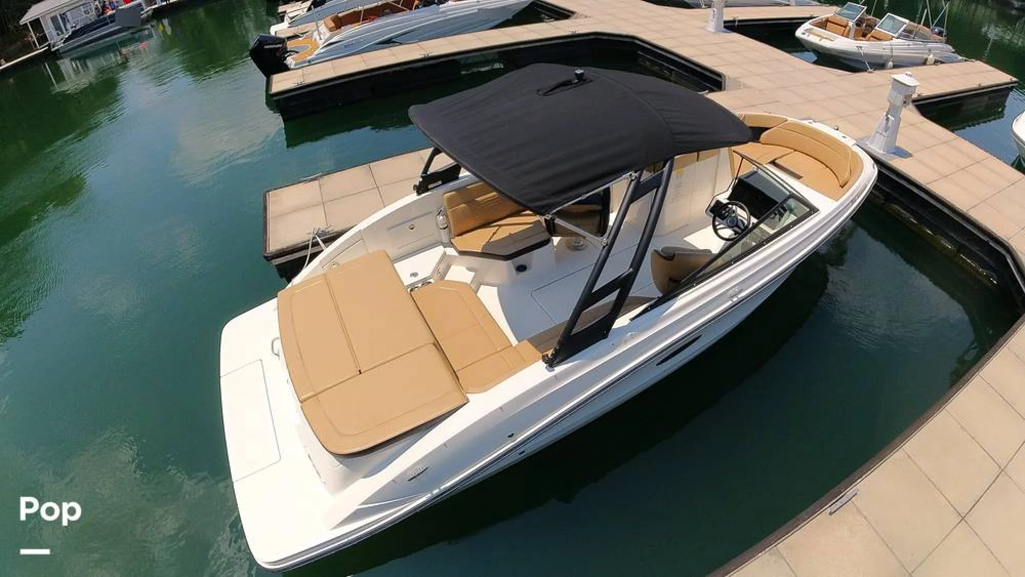 2024 Sea Ray SPX 230 - Image 4