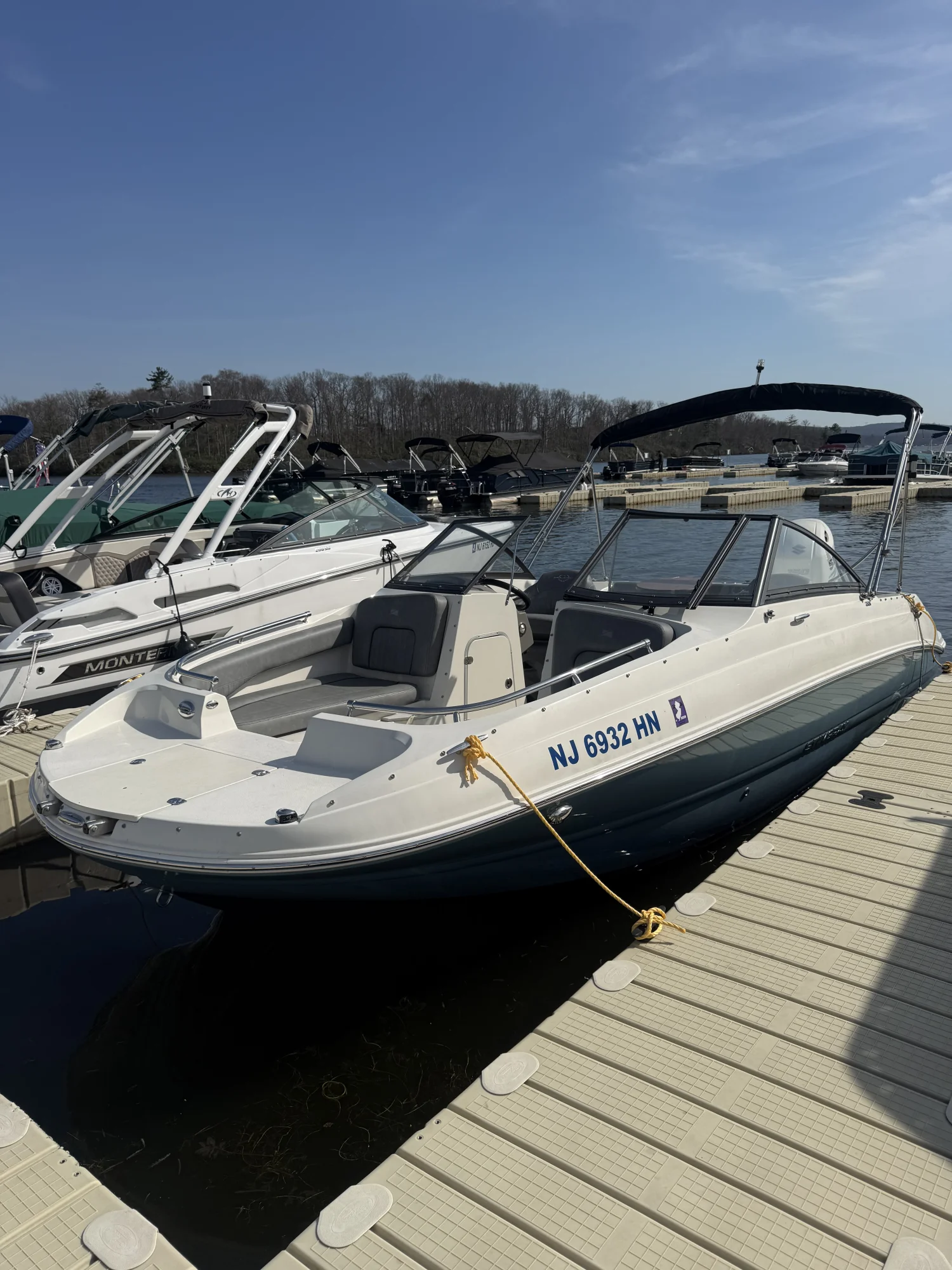 2020 Stingray 201DS - Image 2