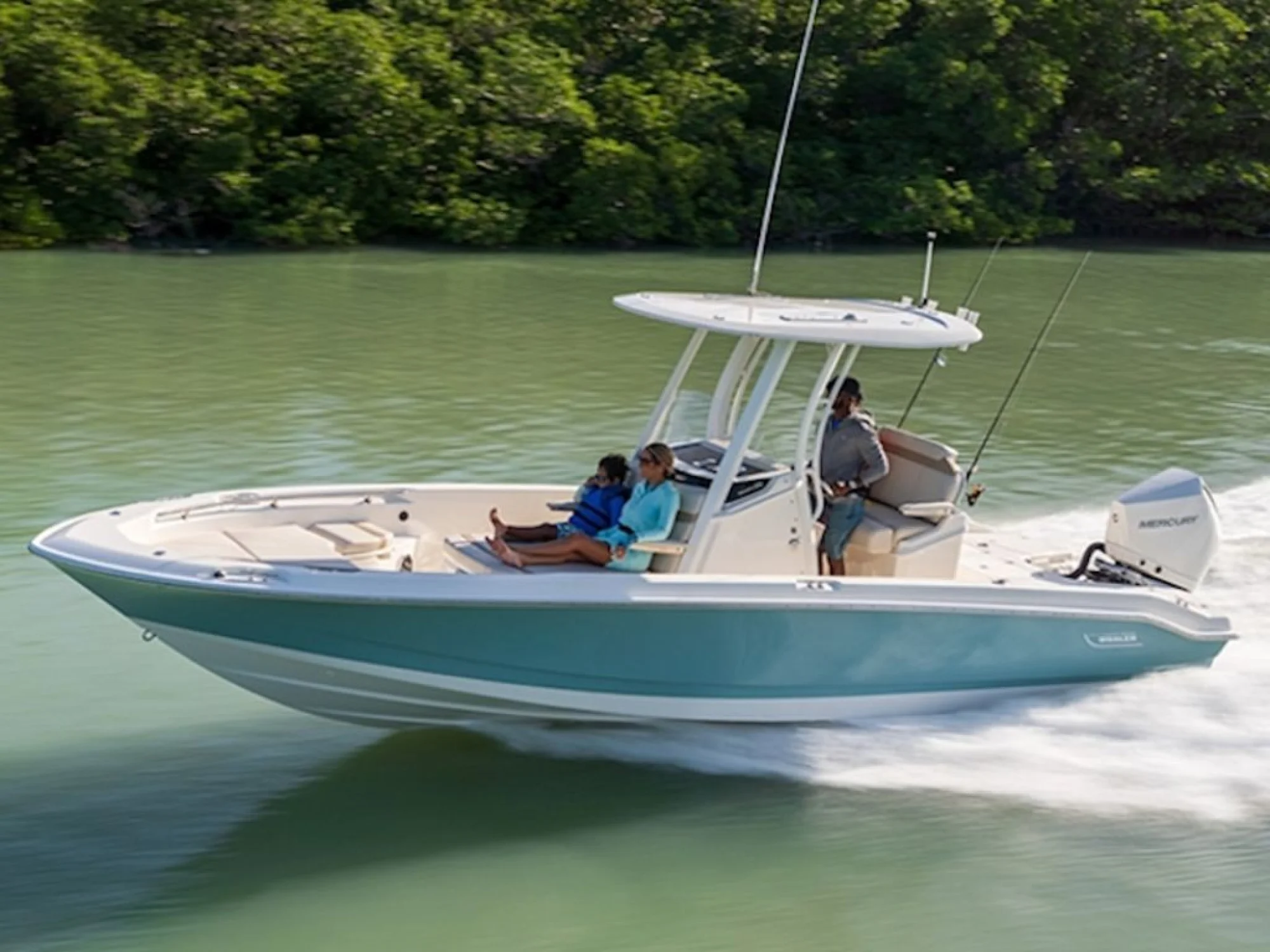 Boston Whaler 250 Dauntless