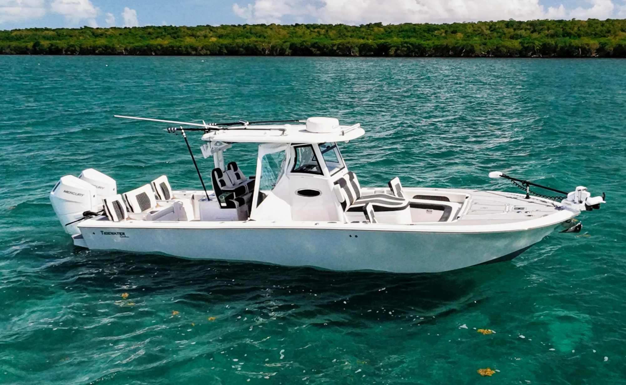 2024 Tidewater 3100 Carolina Bay